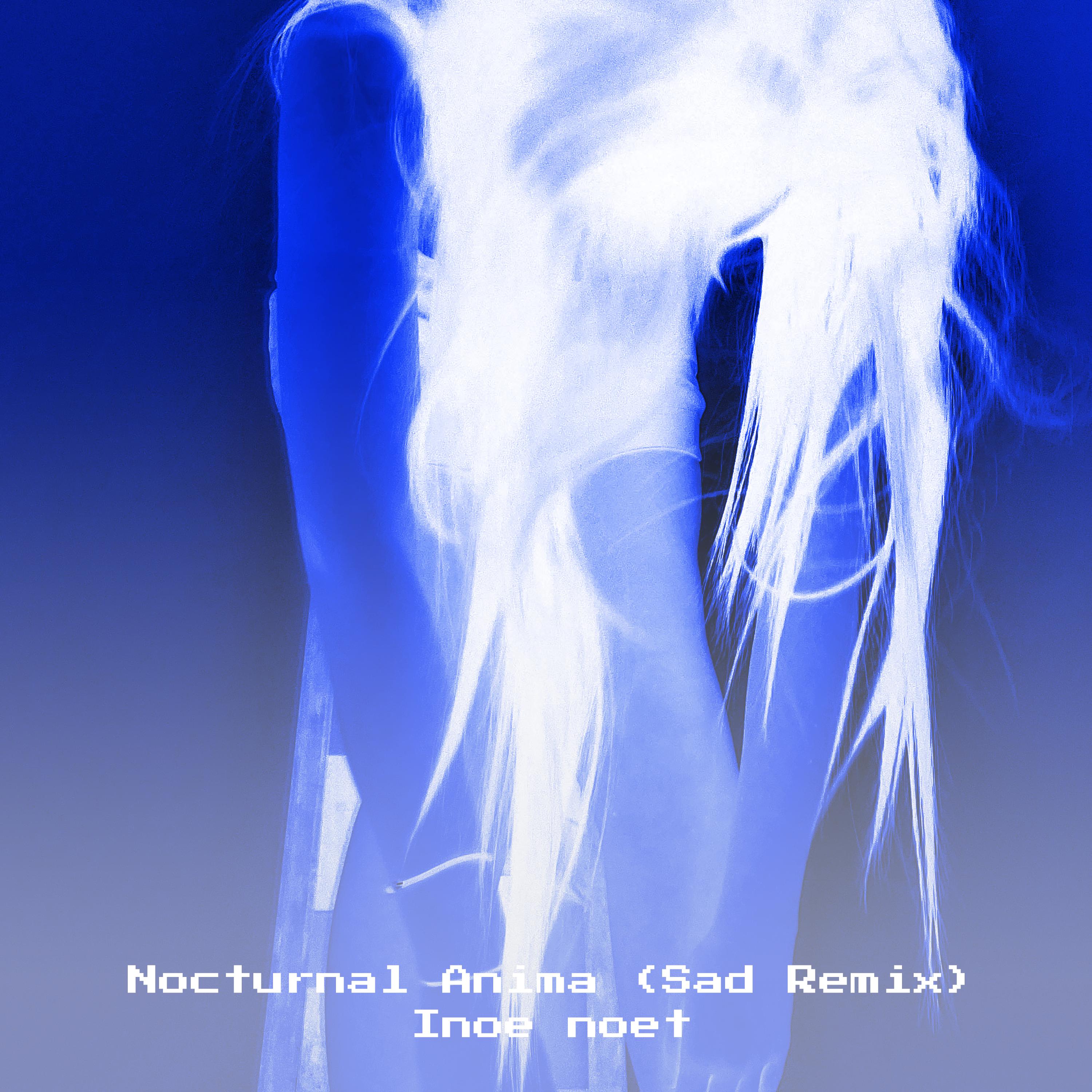 Постер альбома Nocturnal Anima