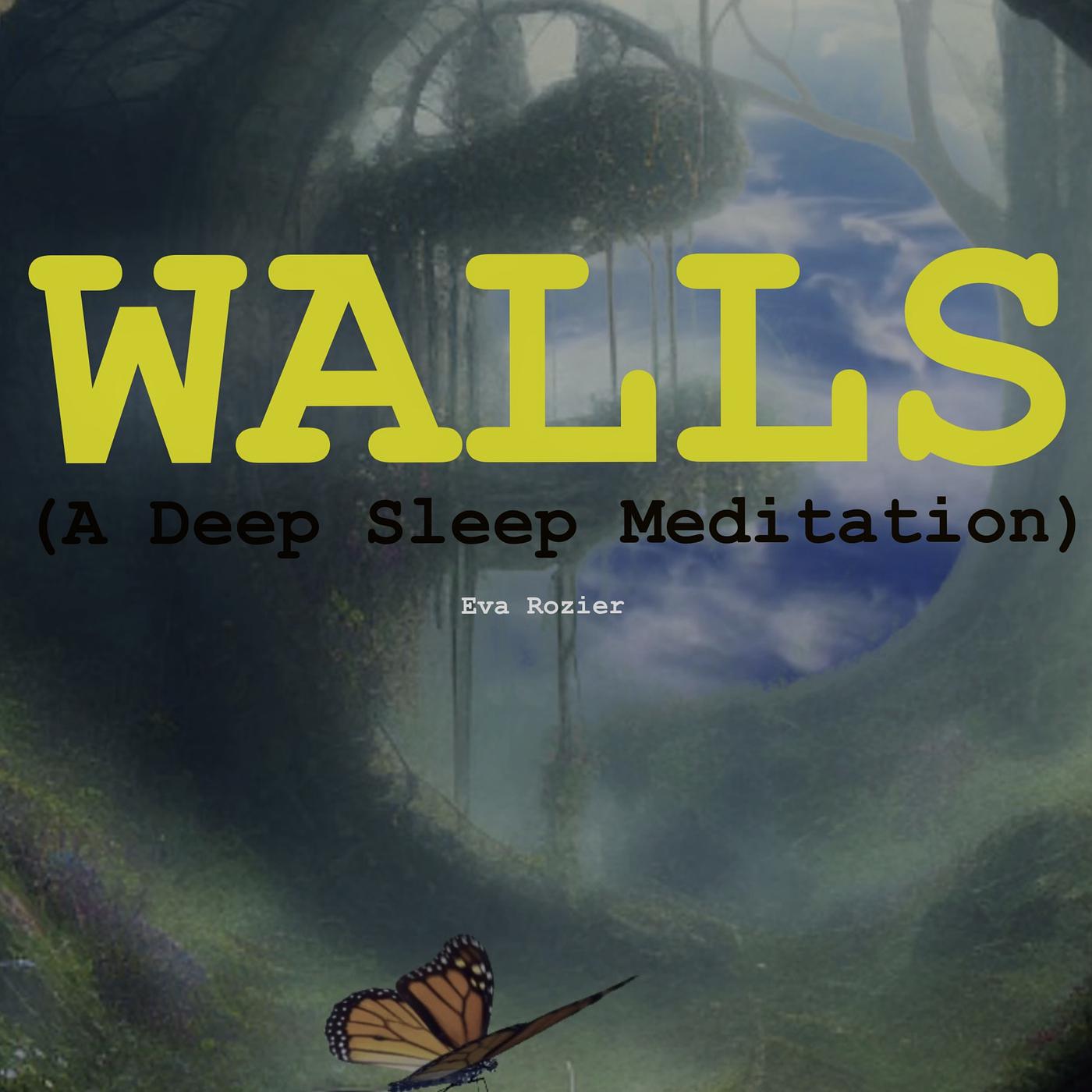 Постер альбома Walls (A Deep Sleep Meditation)