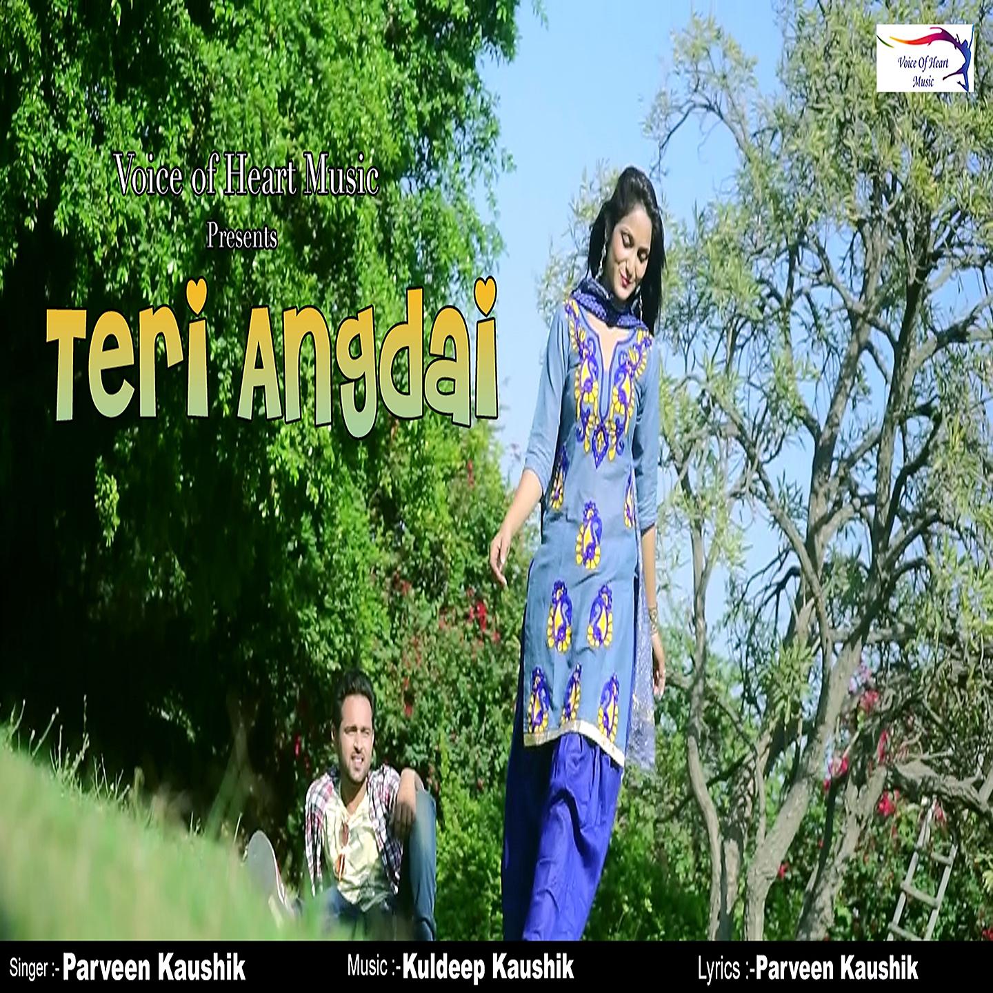 Постер альбома Teri Angdai