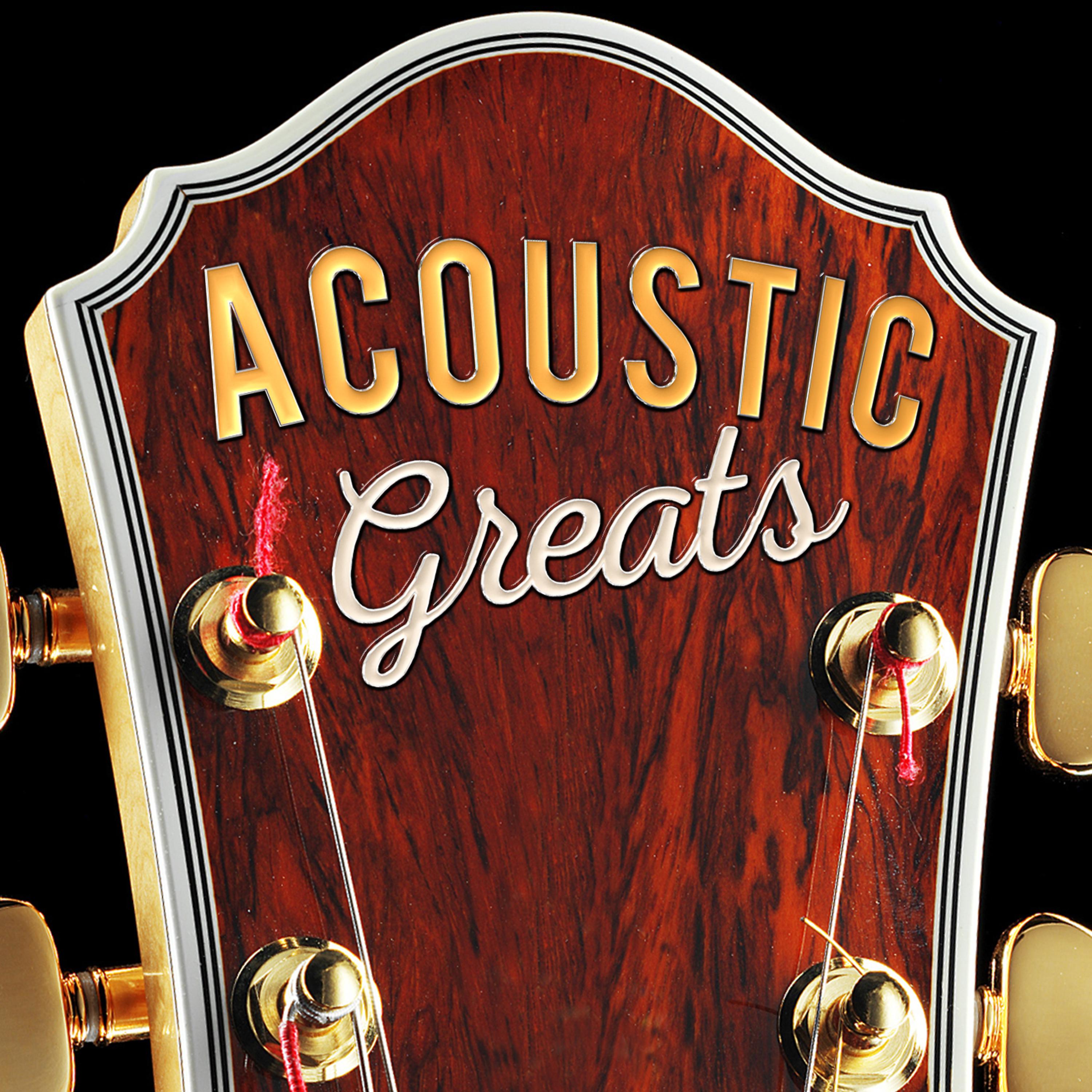 Постер альбома Acoustic Greats
