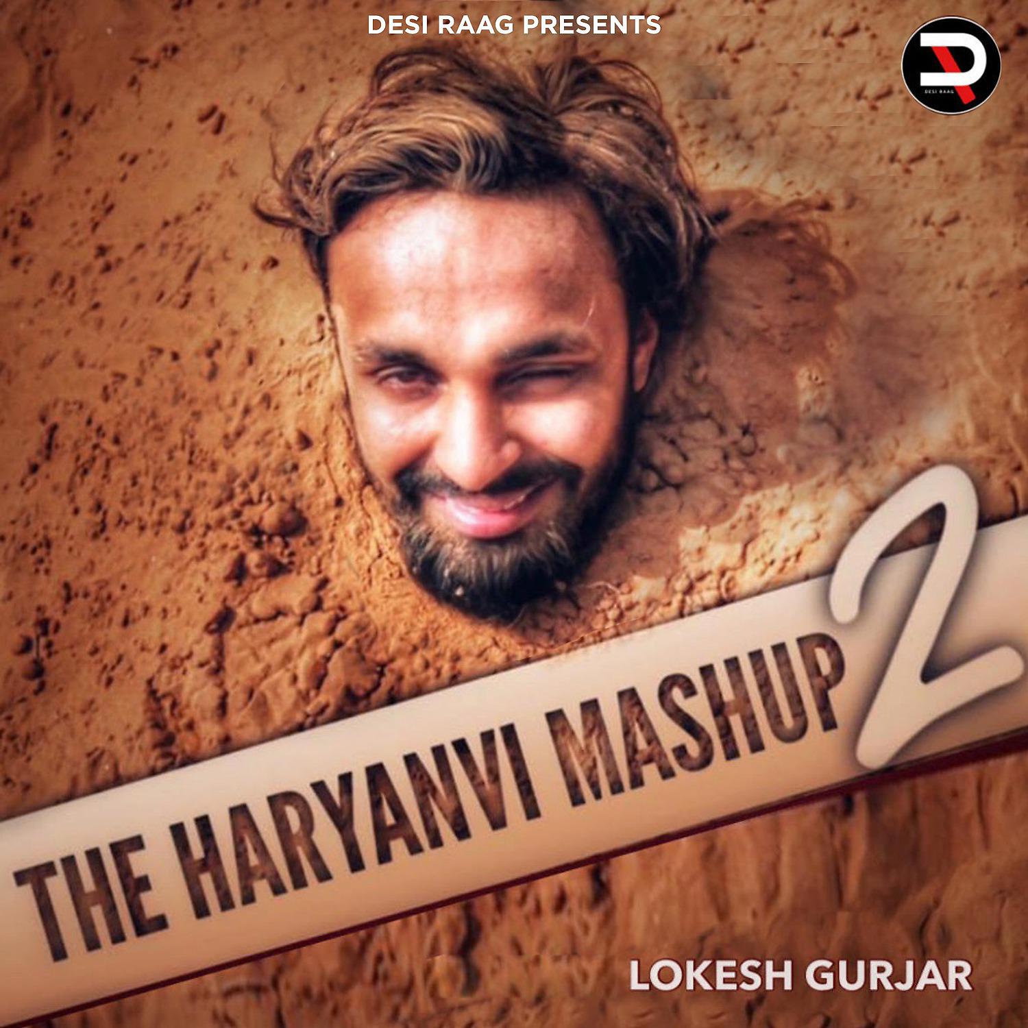 Постер альбома The Haryanvi Mashup, Pt. 2