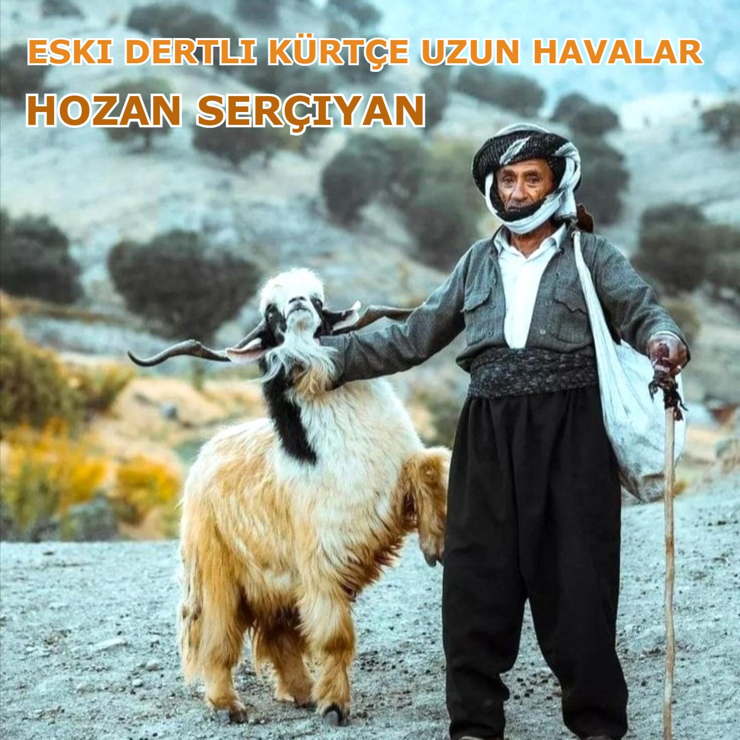 Постер альбома Eski Dertli Kürtçe Uzun Havalar