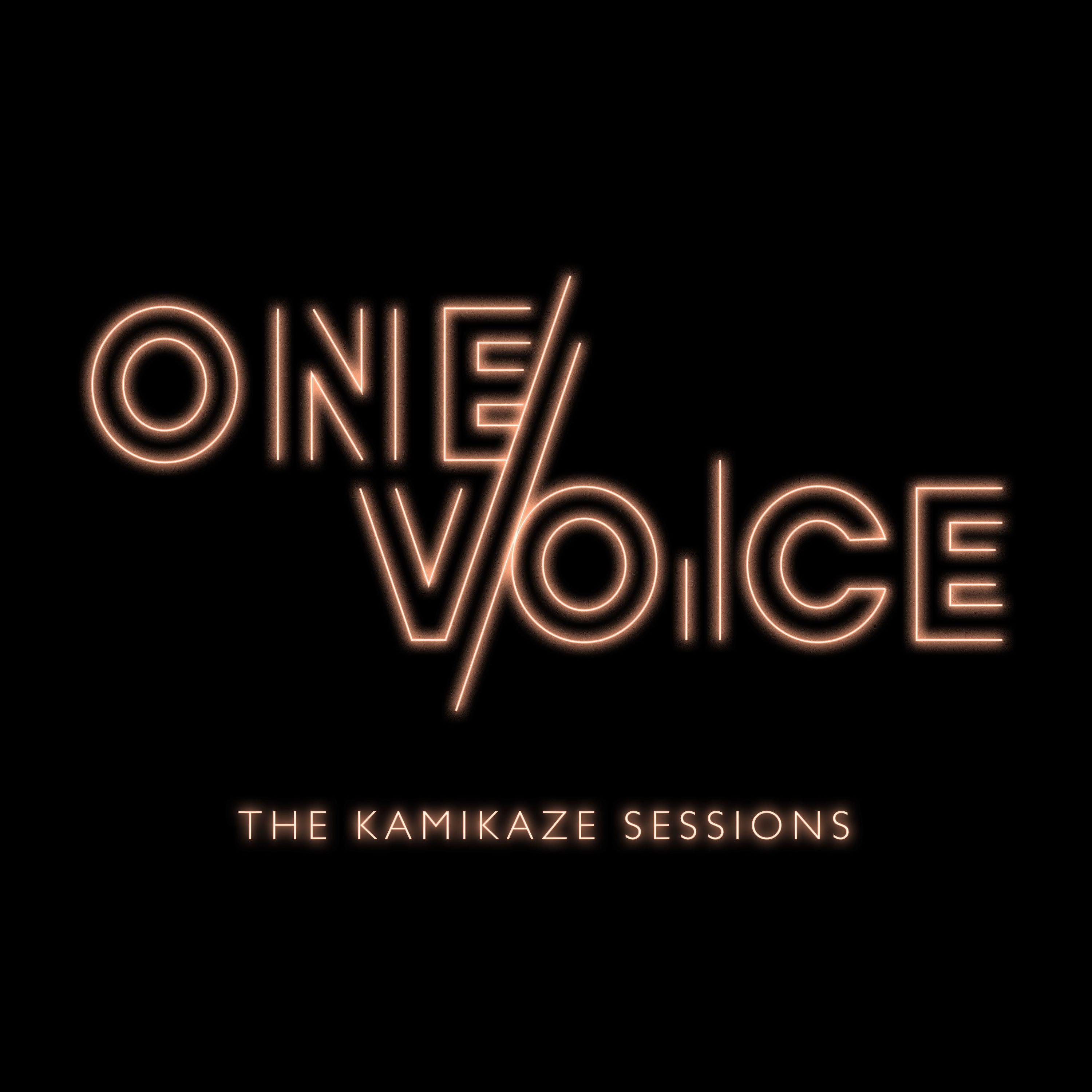 Постер альбома The Kamikaze Sessions - EP