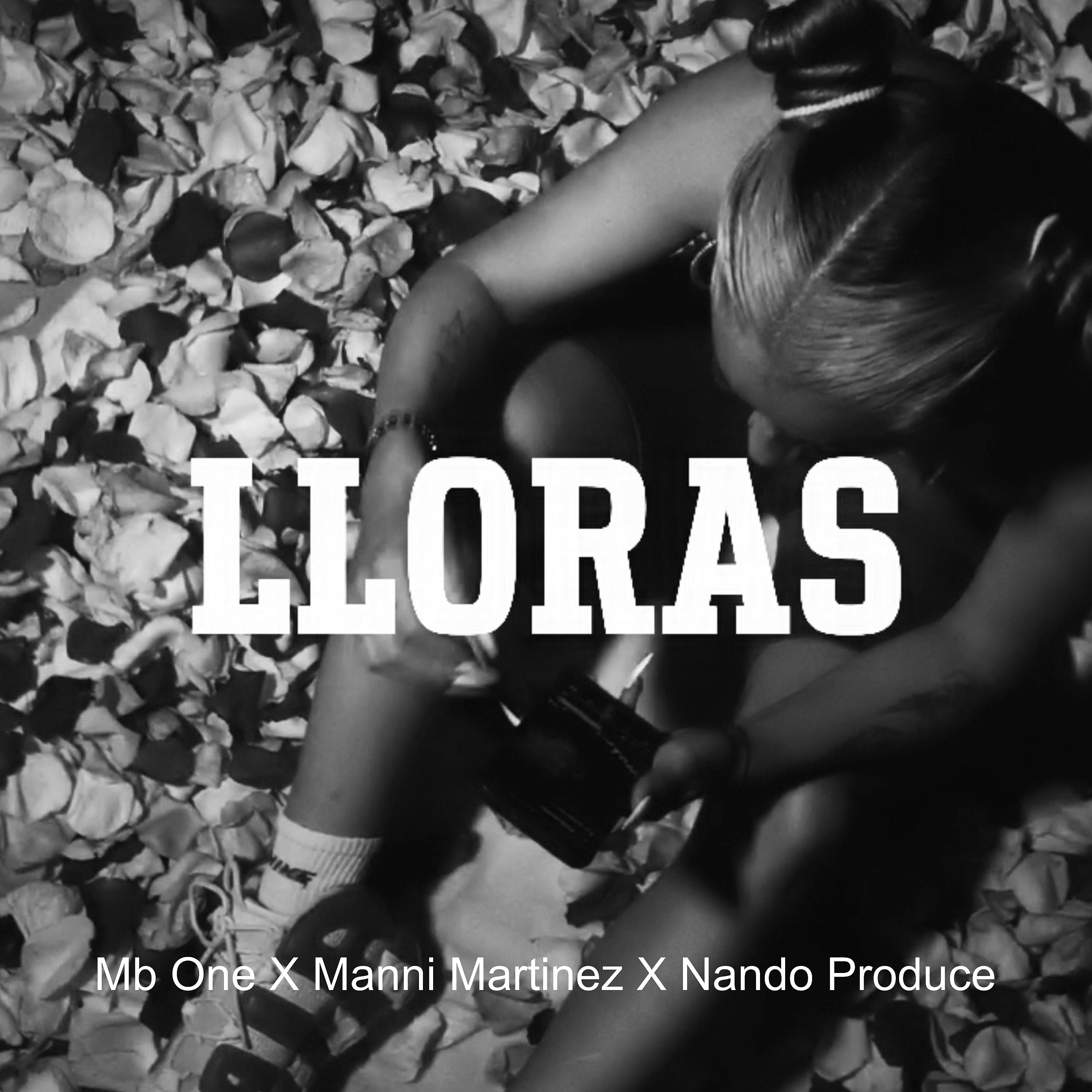 Постер альбома Lloras
