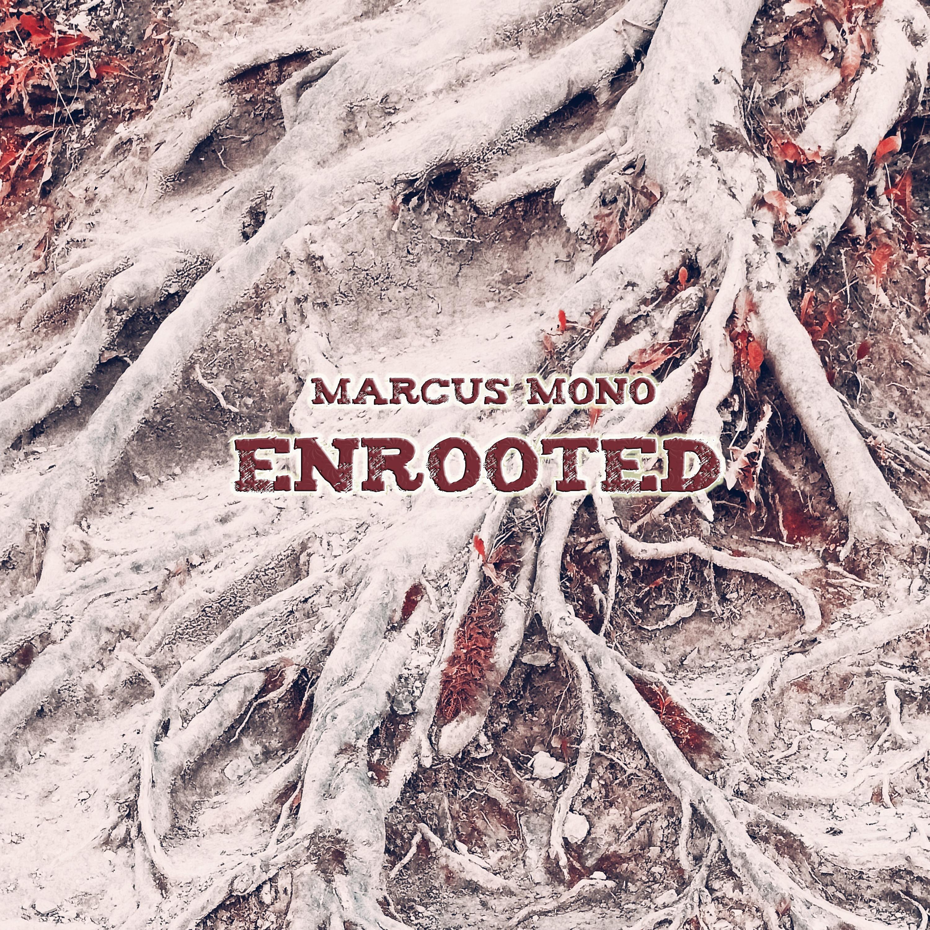 Постер альбома Enrooted
