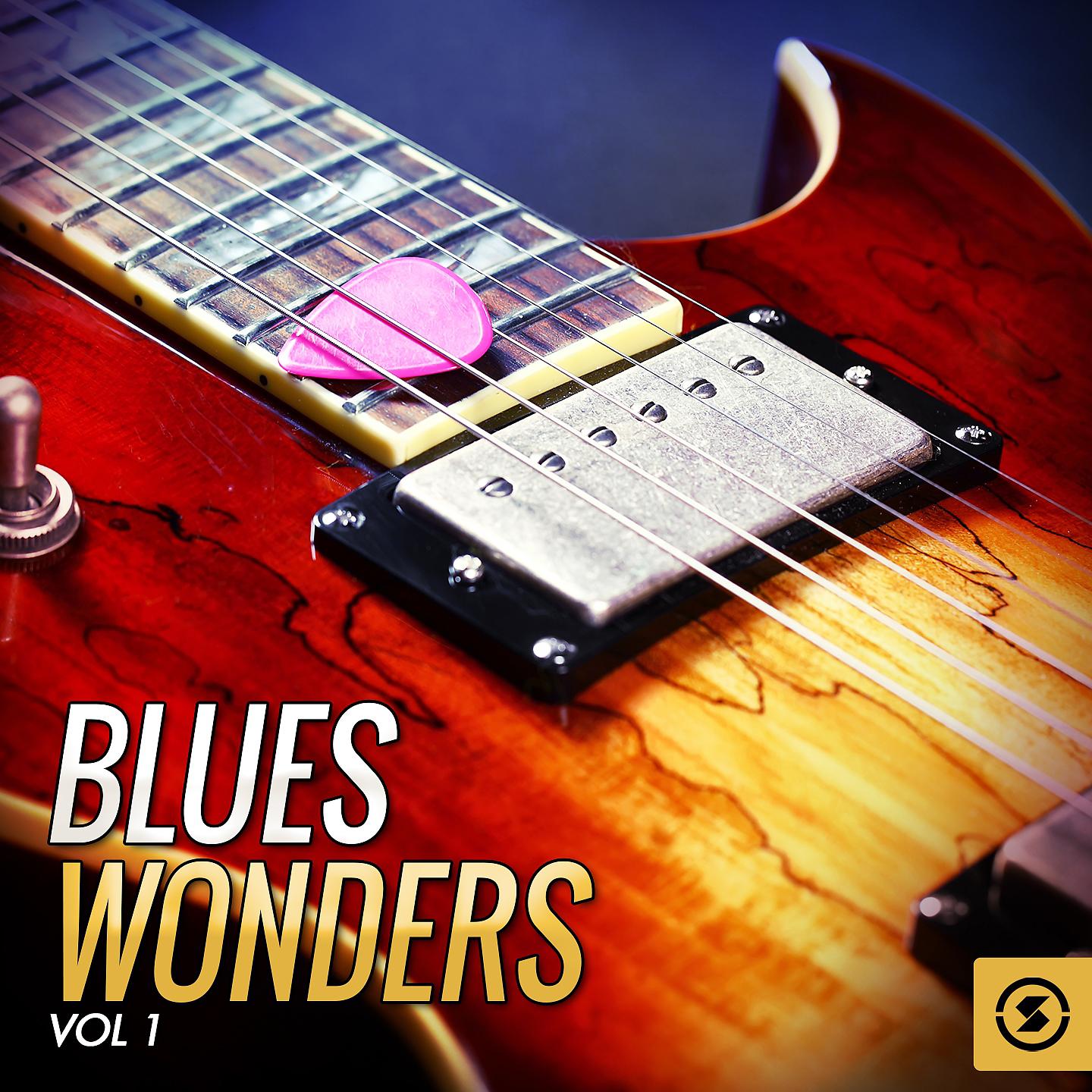 Постер альбома Blues Wonders, Vol. 1