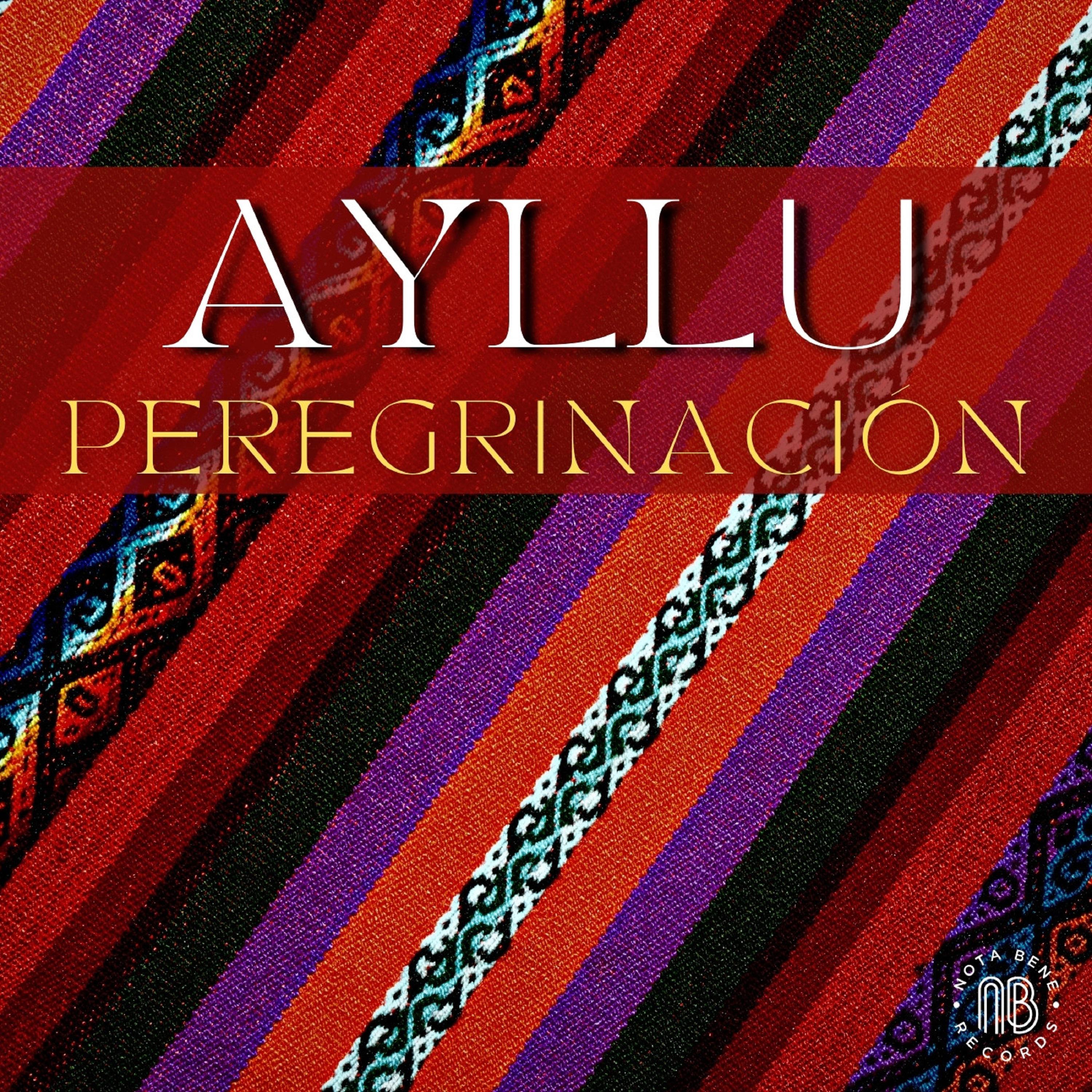 Постер альбома Peregrinación