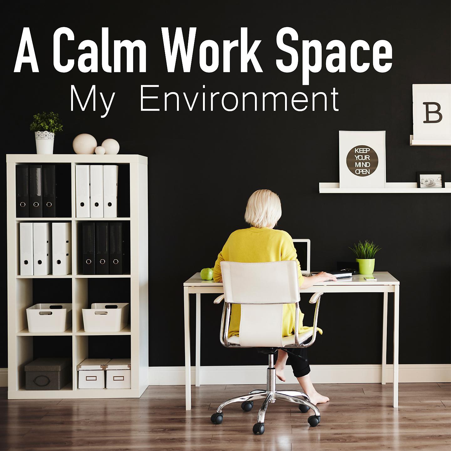 Постер альбома A Calm Work Space ~ My Environment