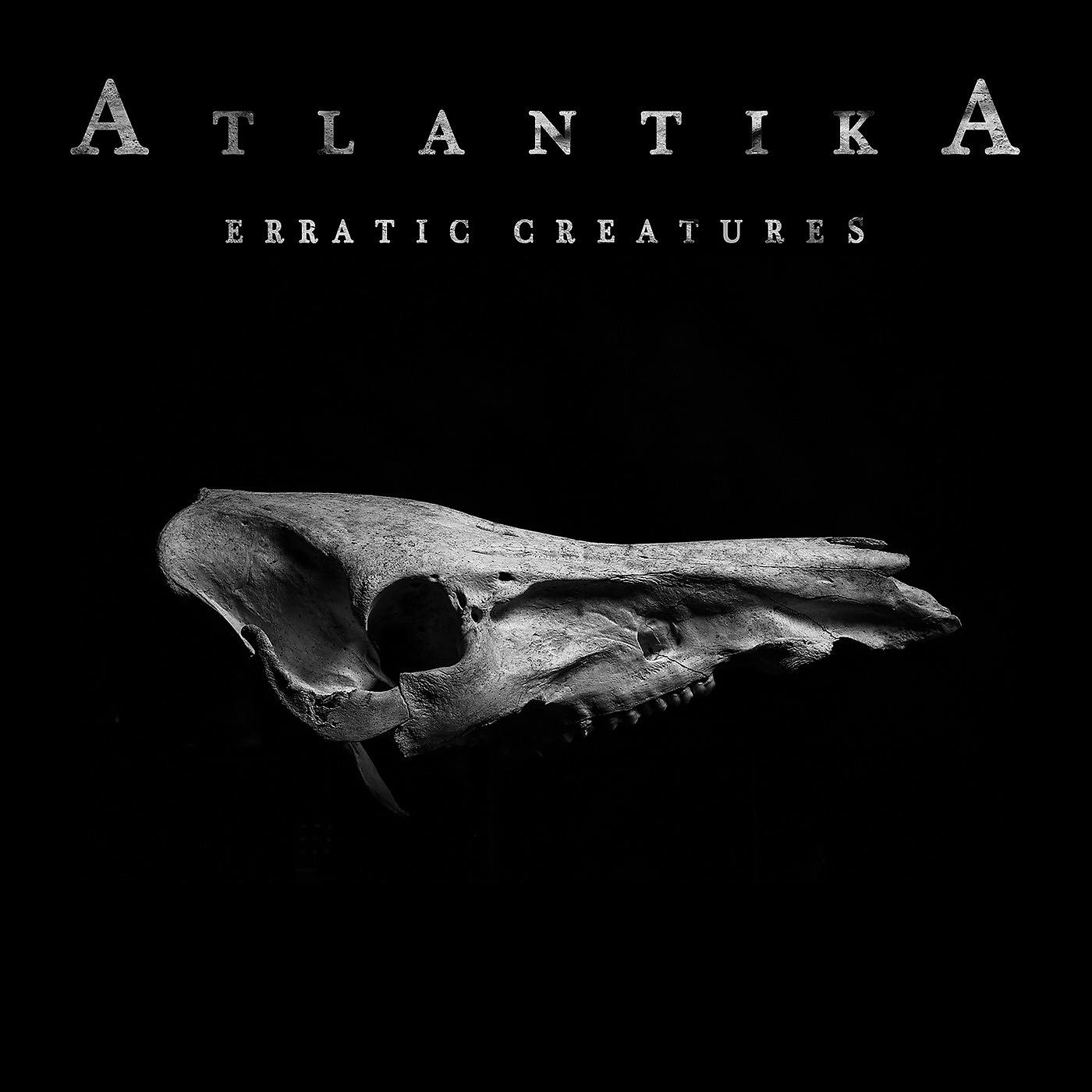 Постер альбома Erratic Creatures