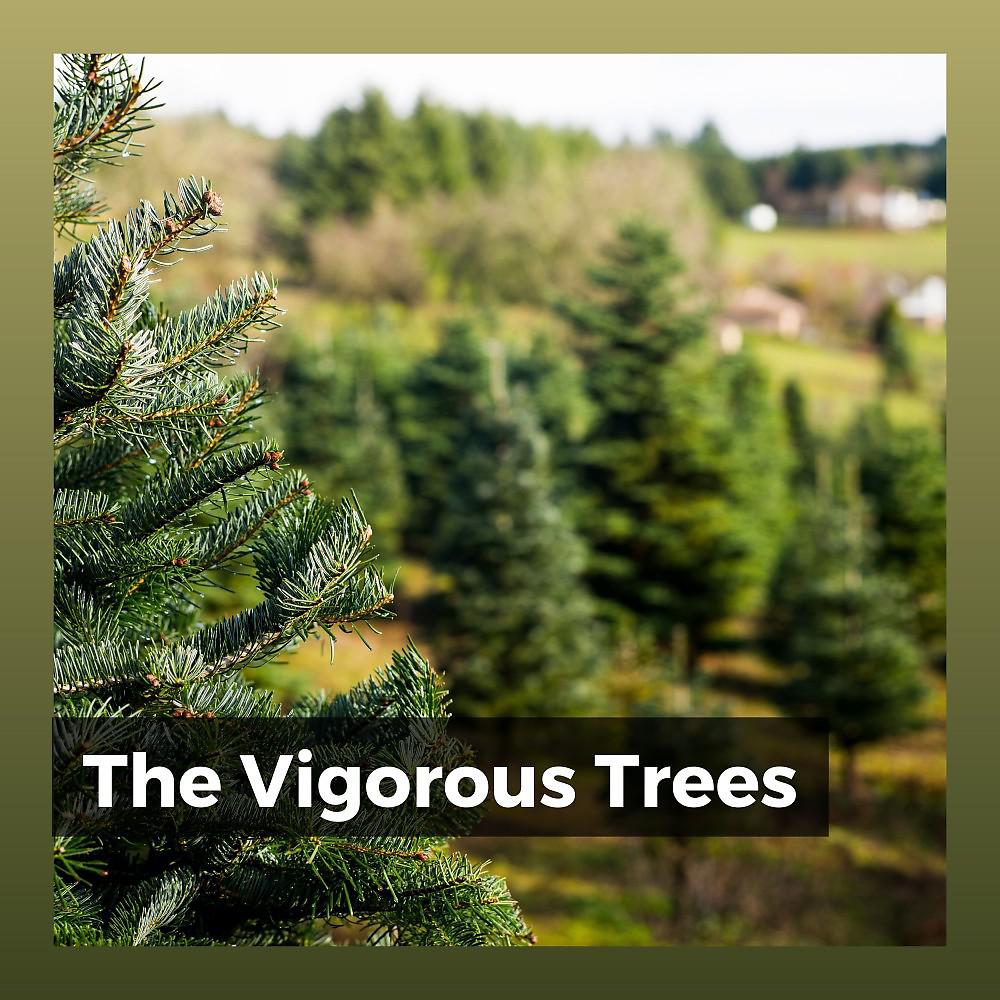 Постер альбома The Vigorous Trees