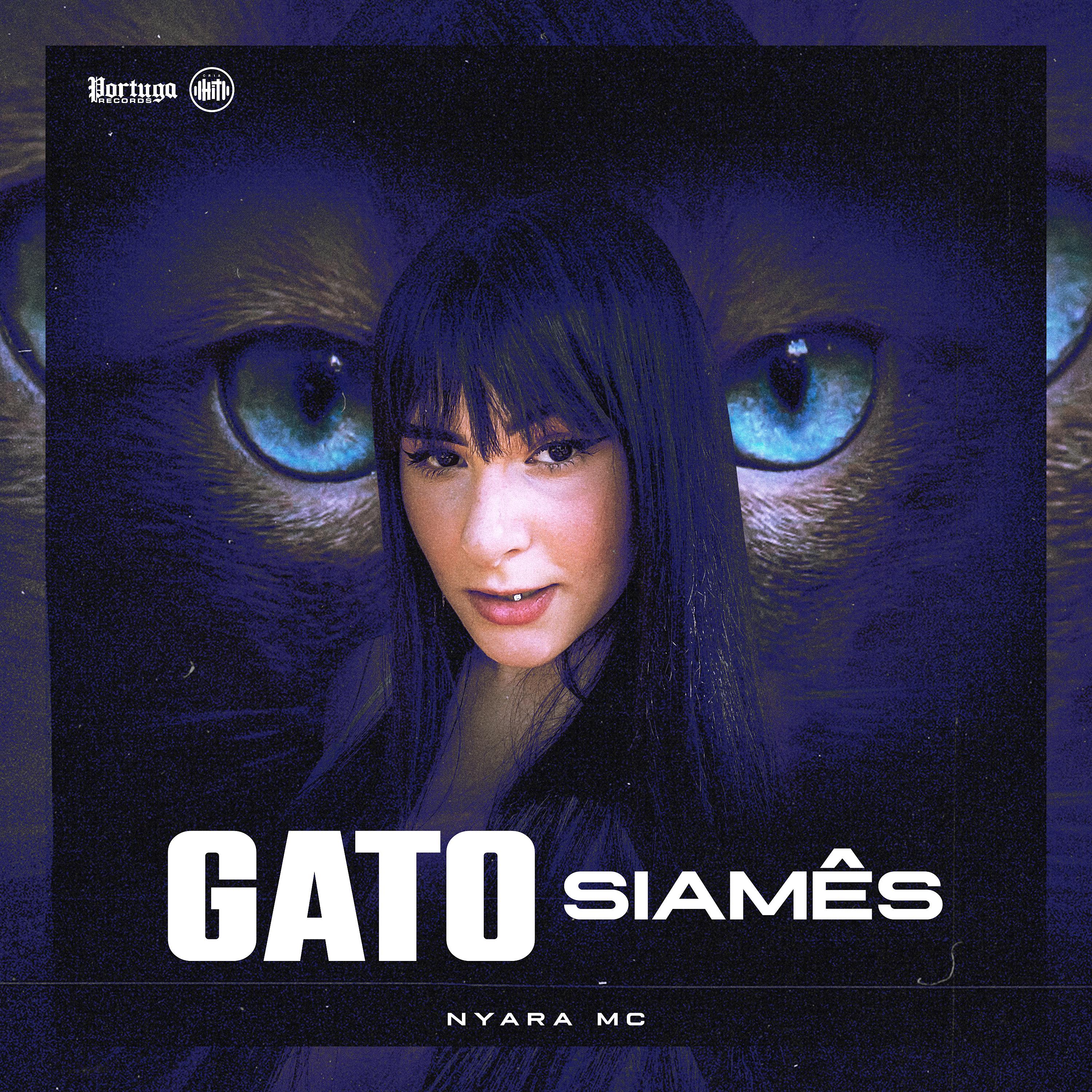 Постер альбома Gato Siamês