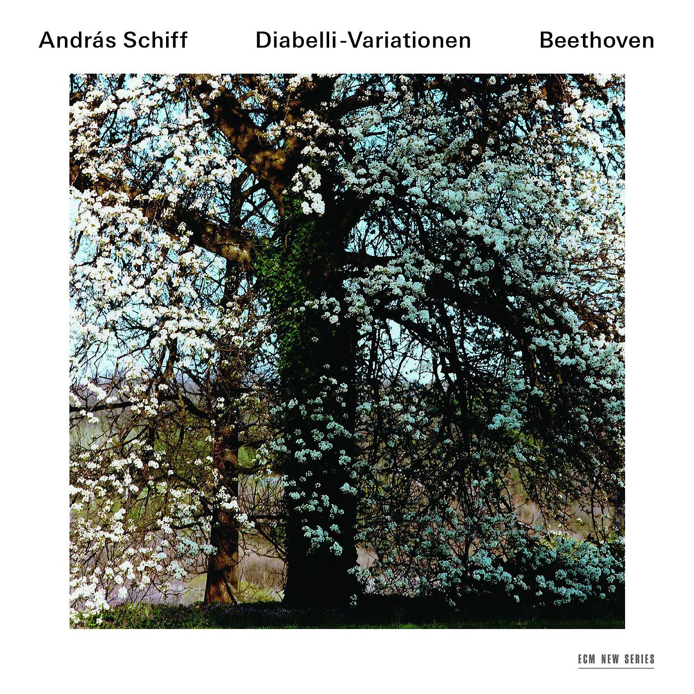 Постер альбома Ludwig van Beethoven: Diabelli-Variationen