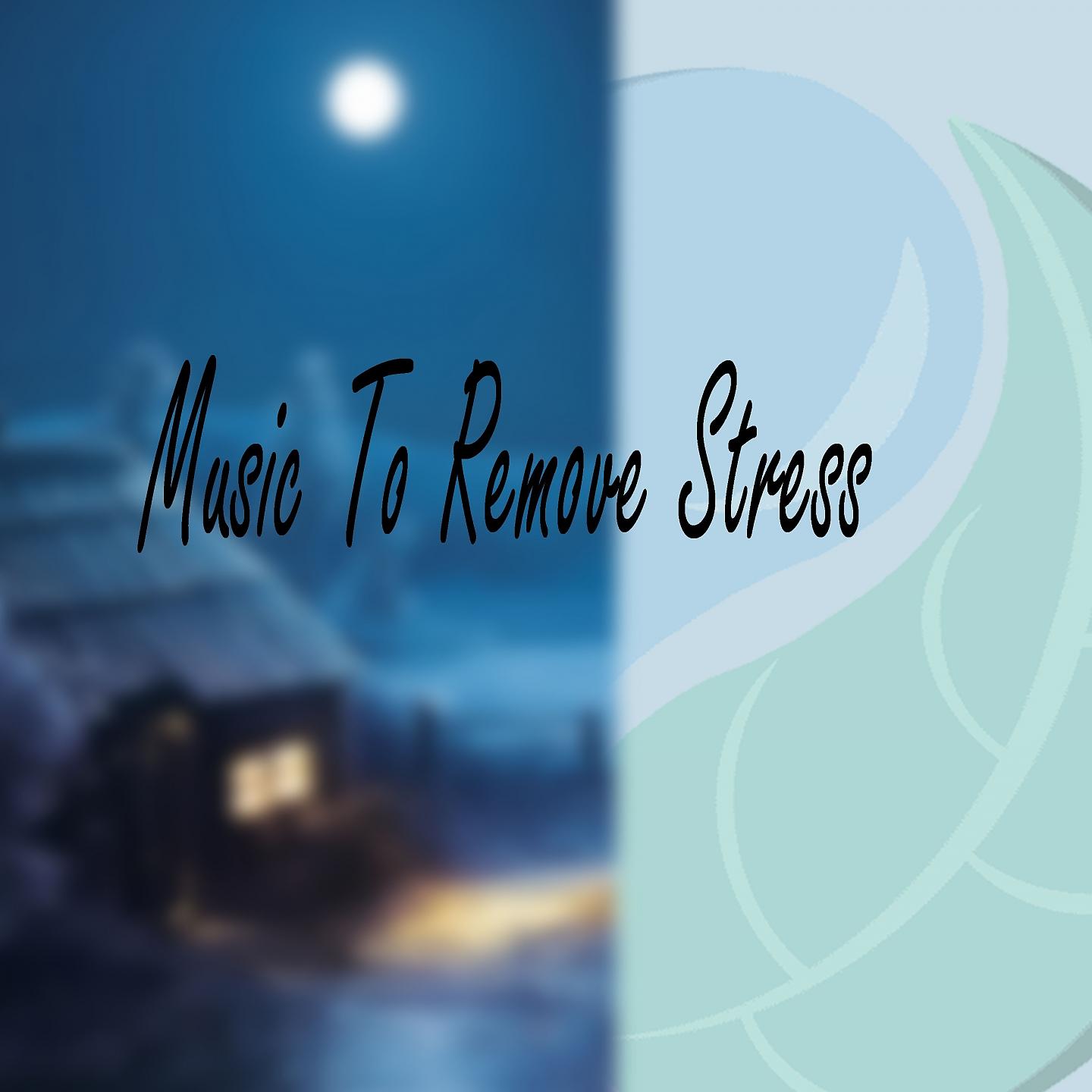 Постер альбома Music to Remove Stress