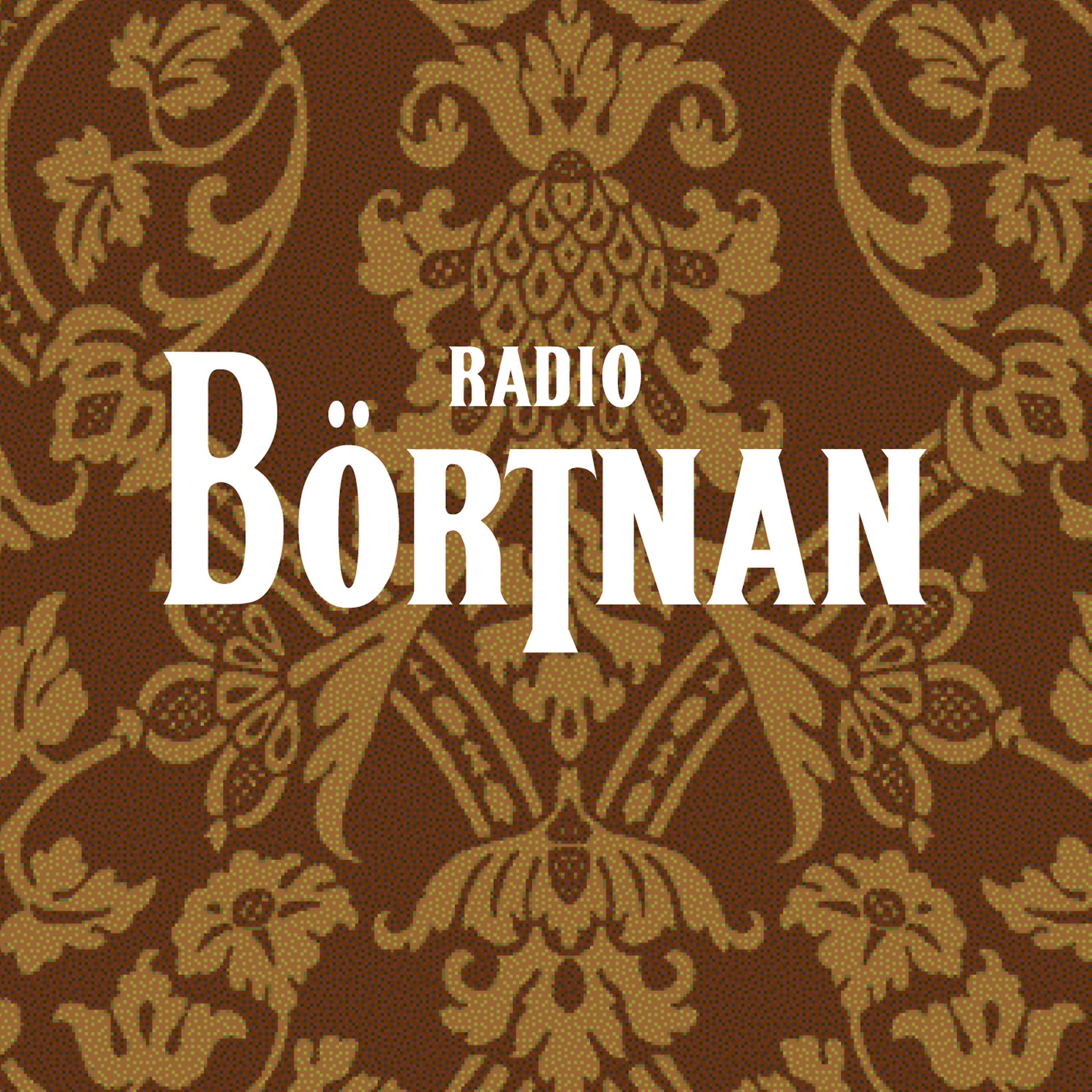 Постер альбома Radio Börtnan