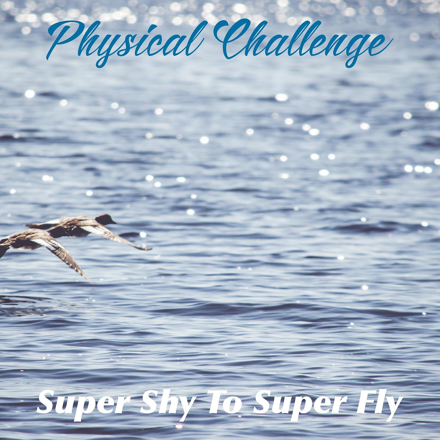 Постер альбома Physical Challenge