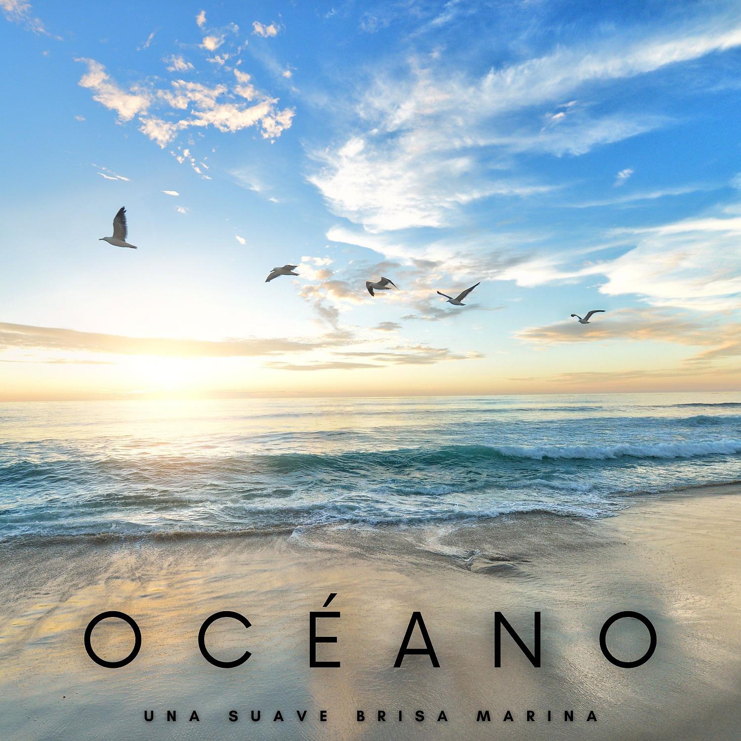 Постер альбома Océano: Una Suave Brisa Marina