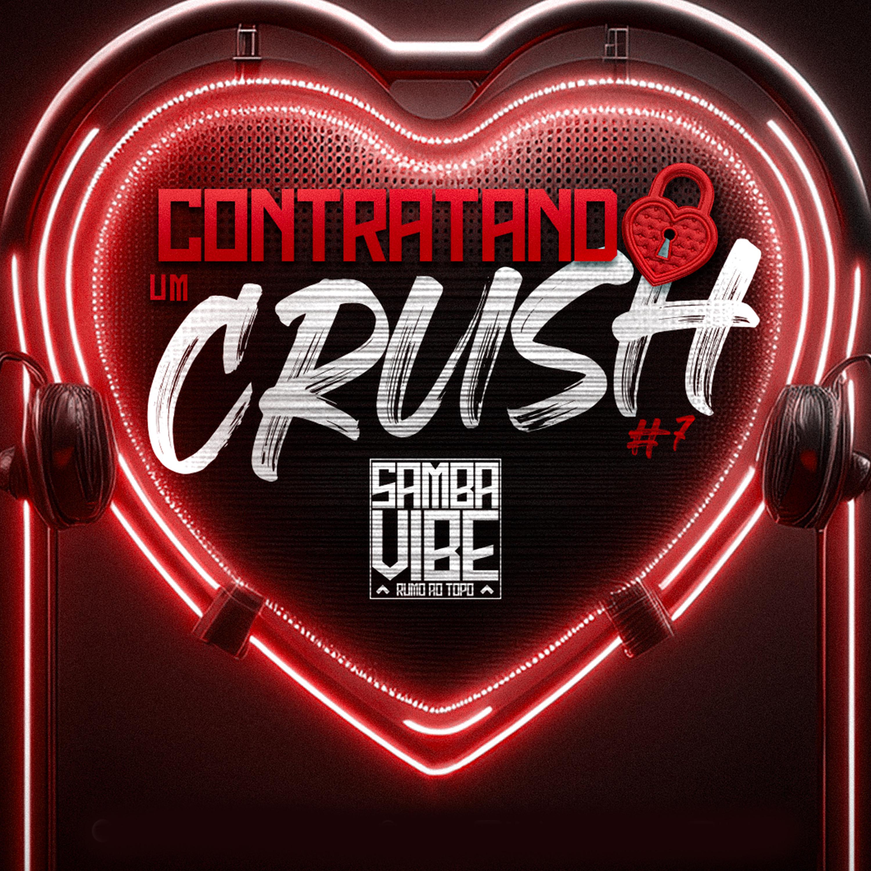 Постер альбома Contratando um Crush