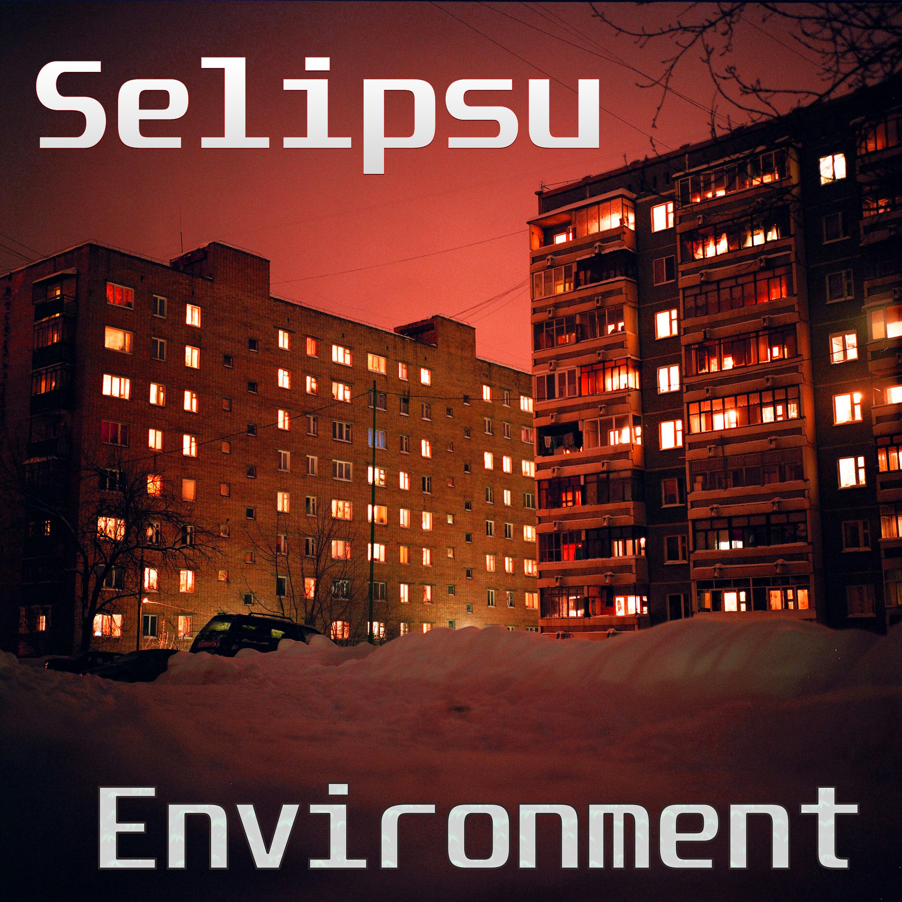 Постер альбома Environment