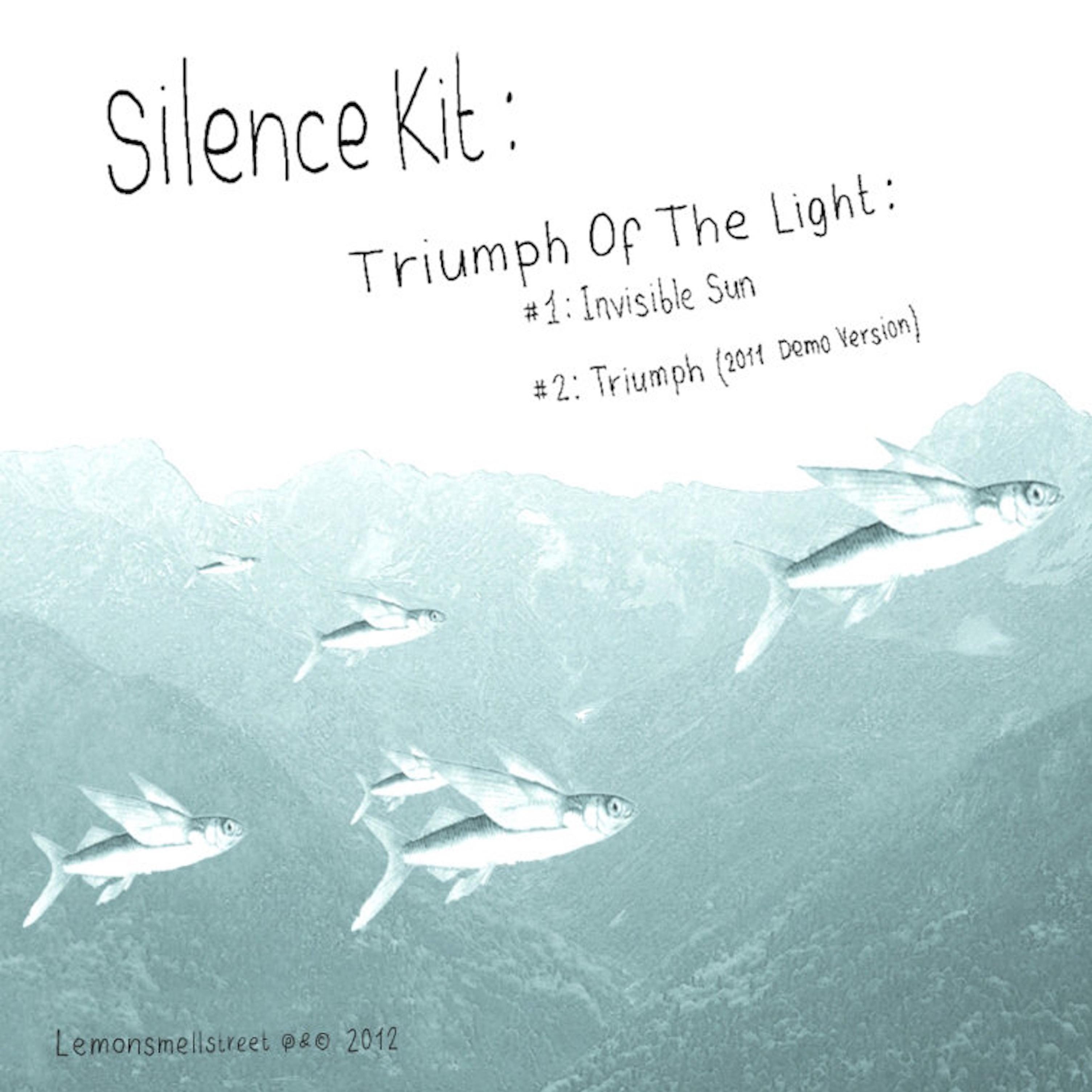 Постер альбома Triumph Of The Light