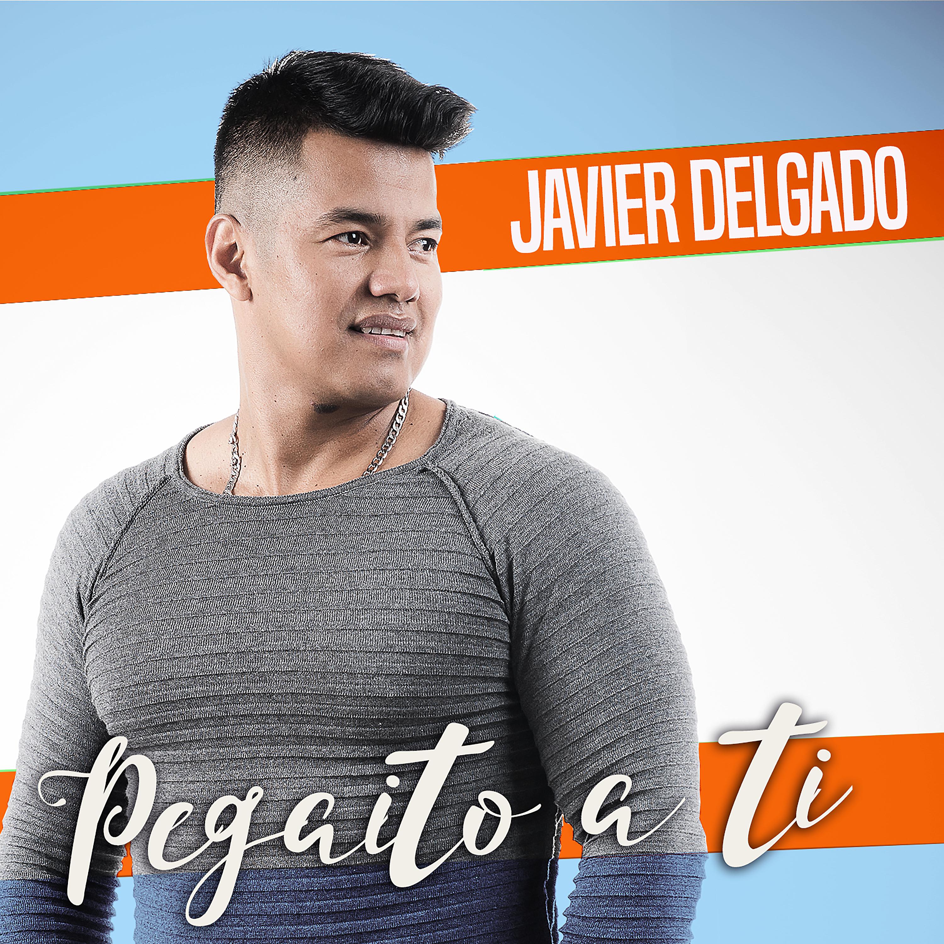 Постер альбома Pegaito a Ti