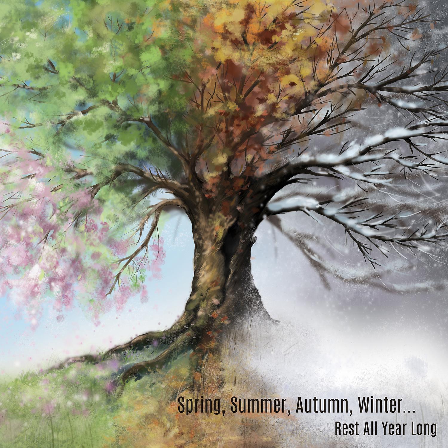 Постер альбома Spring, Summer, Autumn, Winter... Rest All Year Long