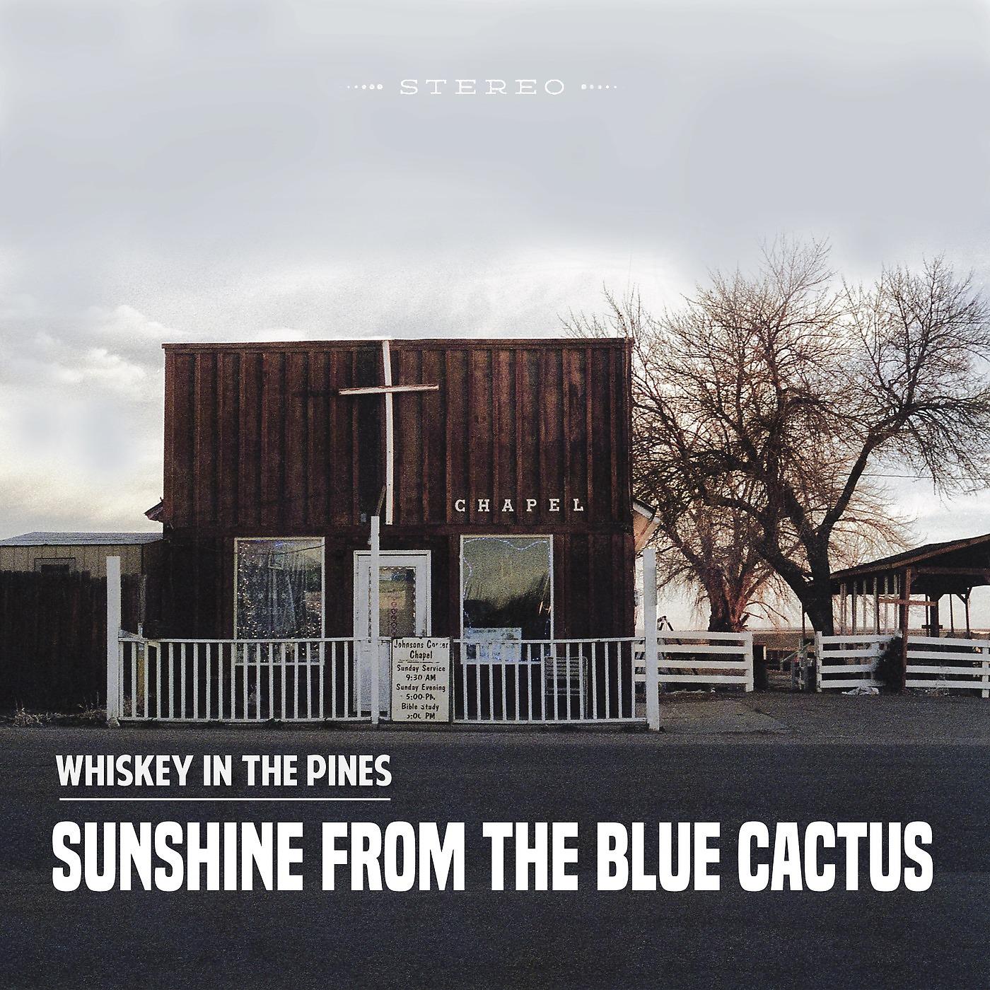 Постер альбома Sunshine from the Blue Cactus