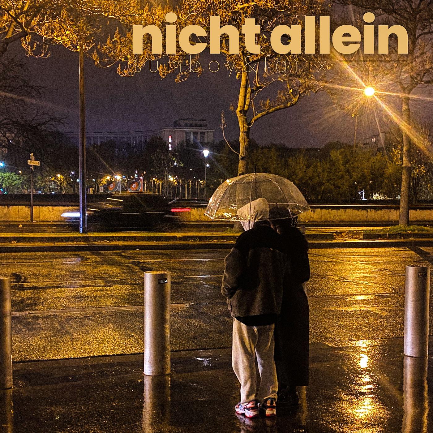 Постер альбома Nicht Allein