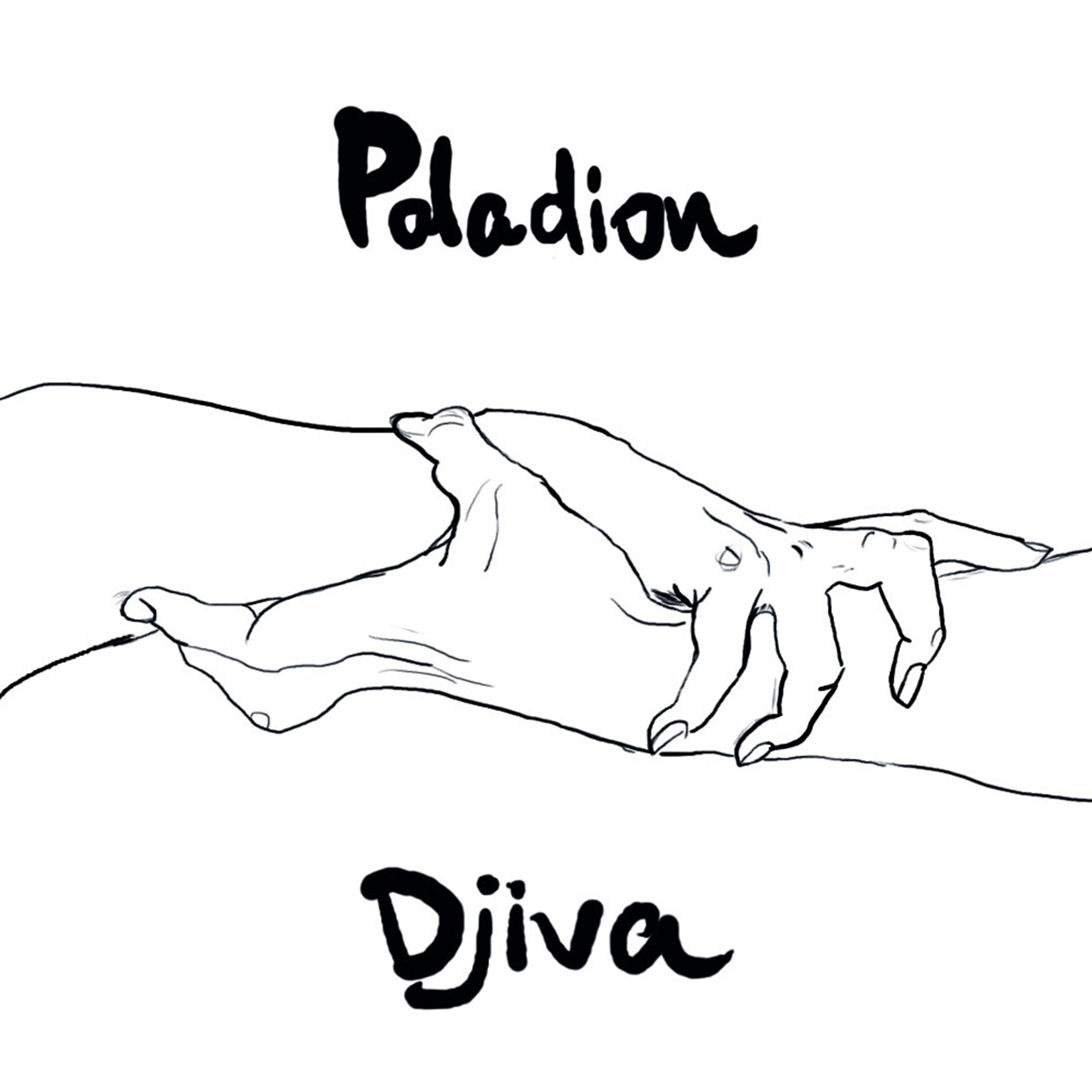 Постер альбома Paladion and Djiva