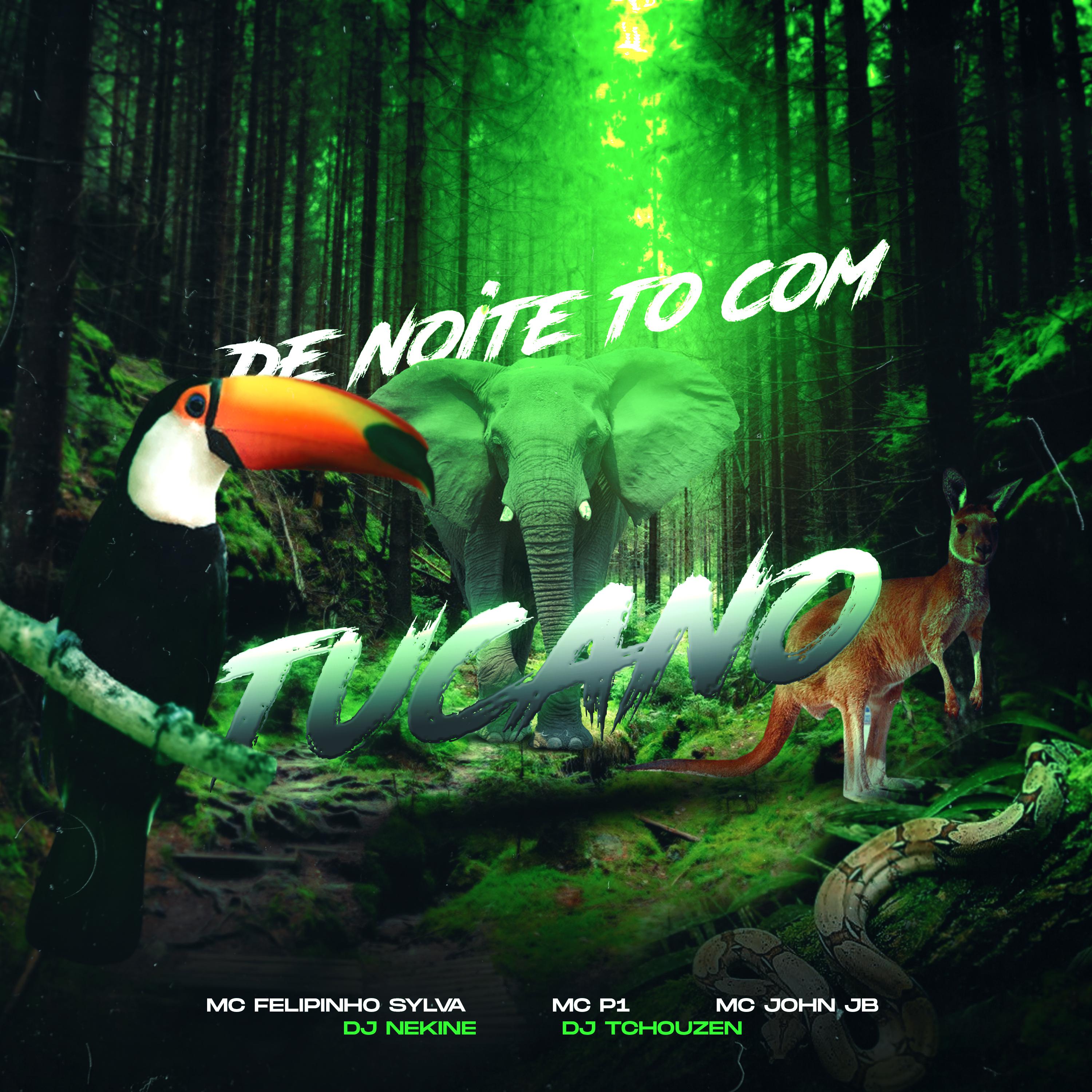 Постер альбома De Noite To Com Tucano