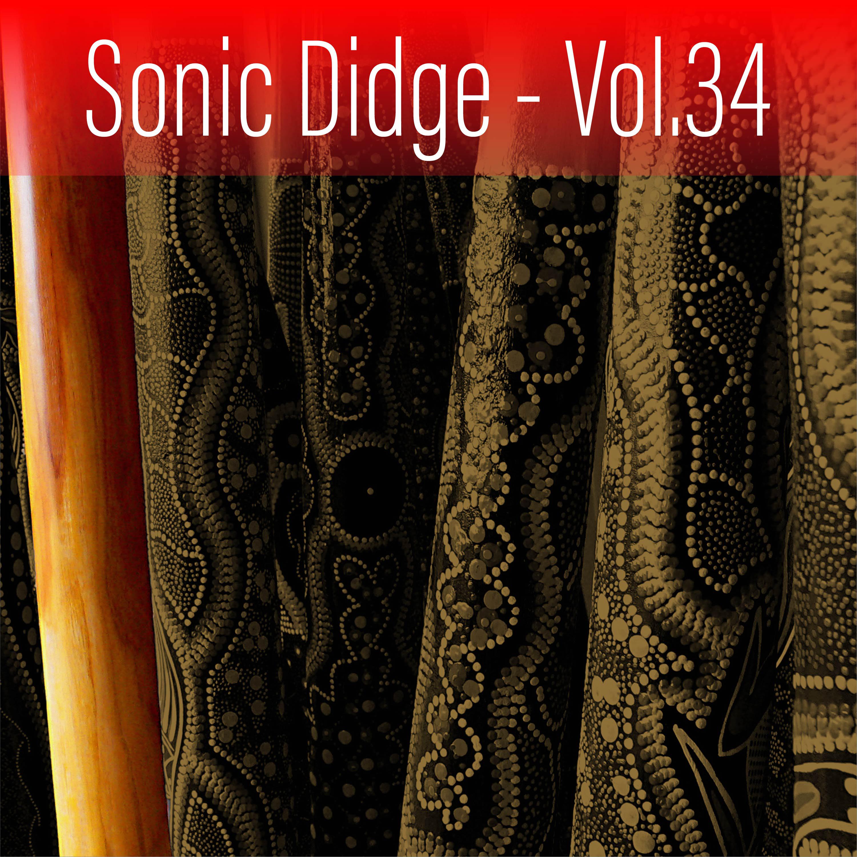 Постер альбома Sonic Didge, Vol. 34