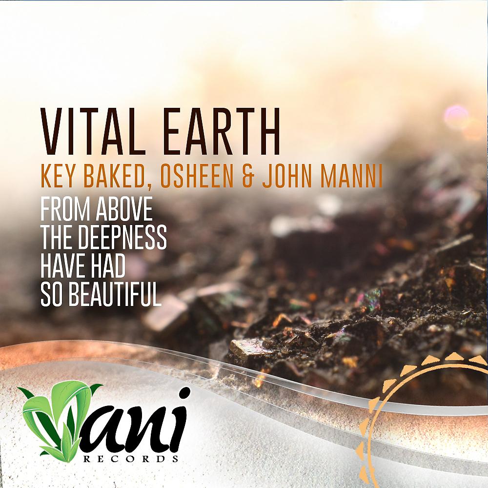 Постер альбома Vital Earth