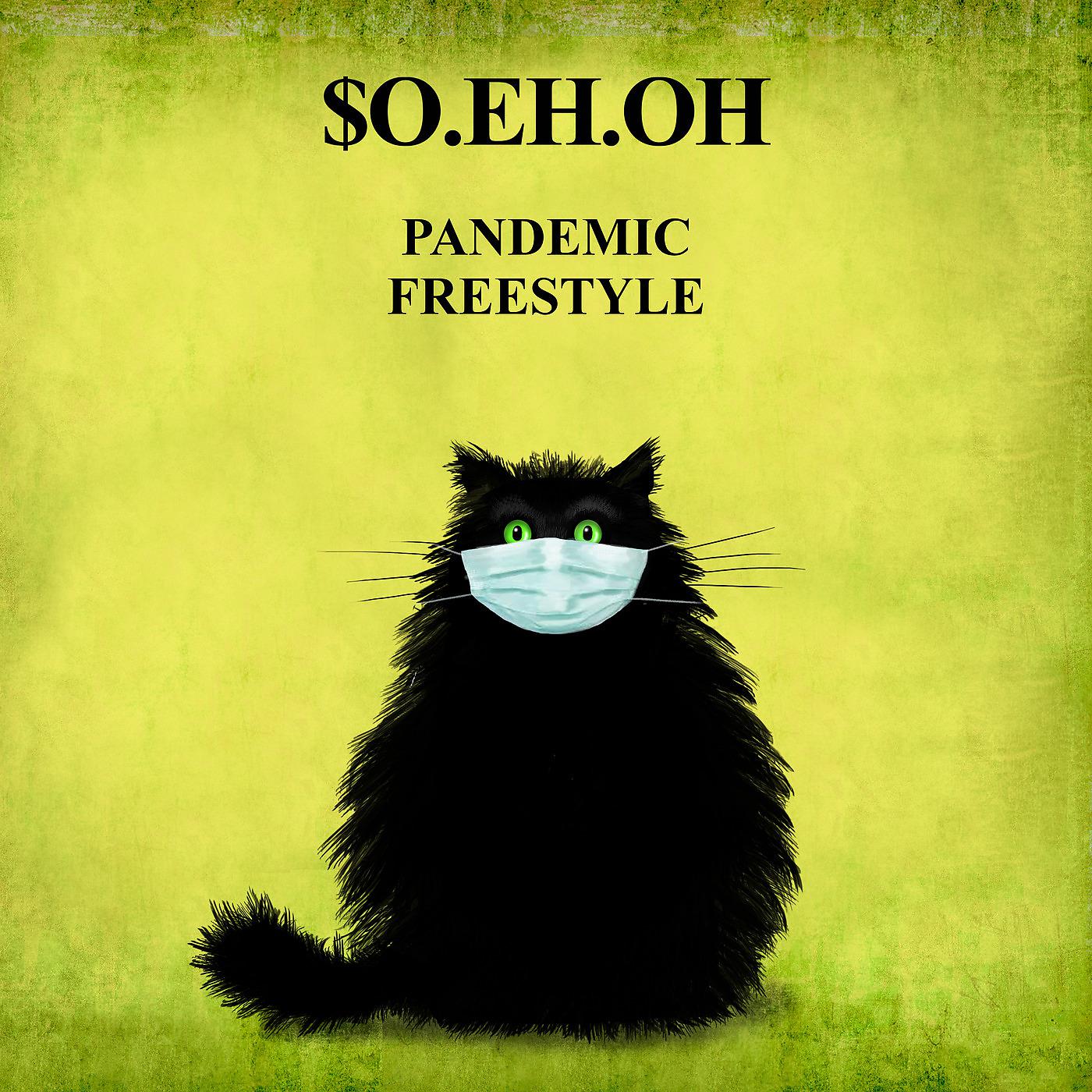 Постер альбома Pandemic Freestyle