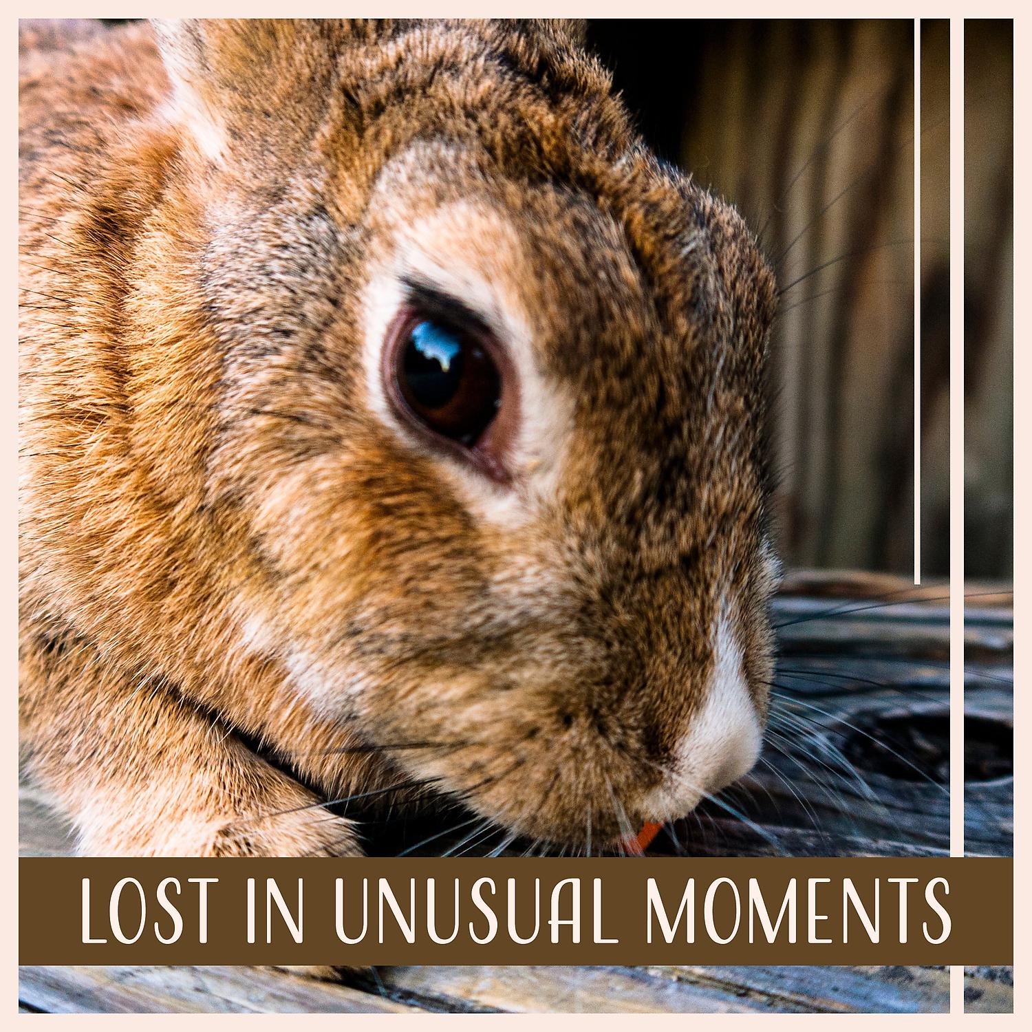 Постер альбома Lost in Unusual Moments