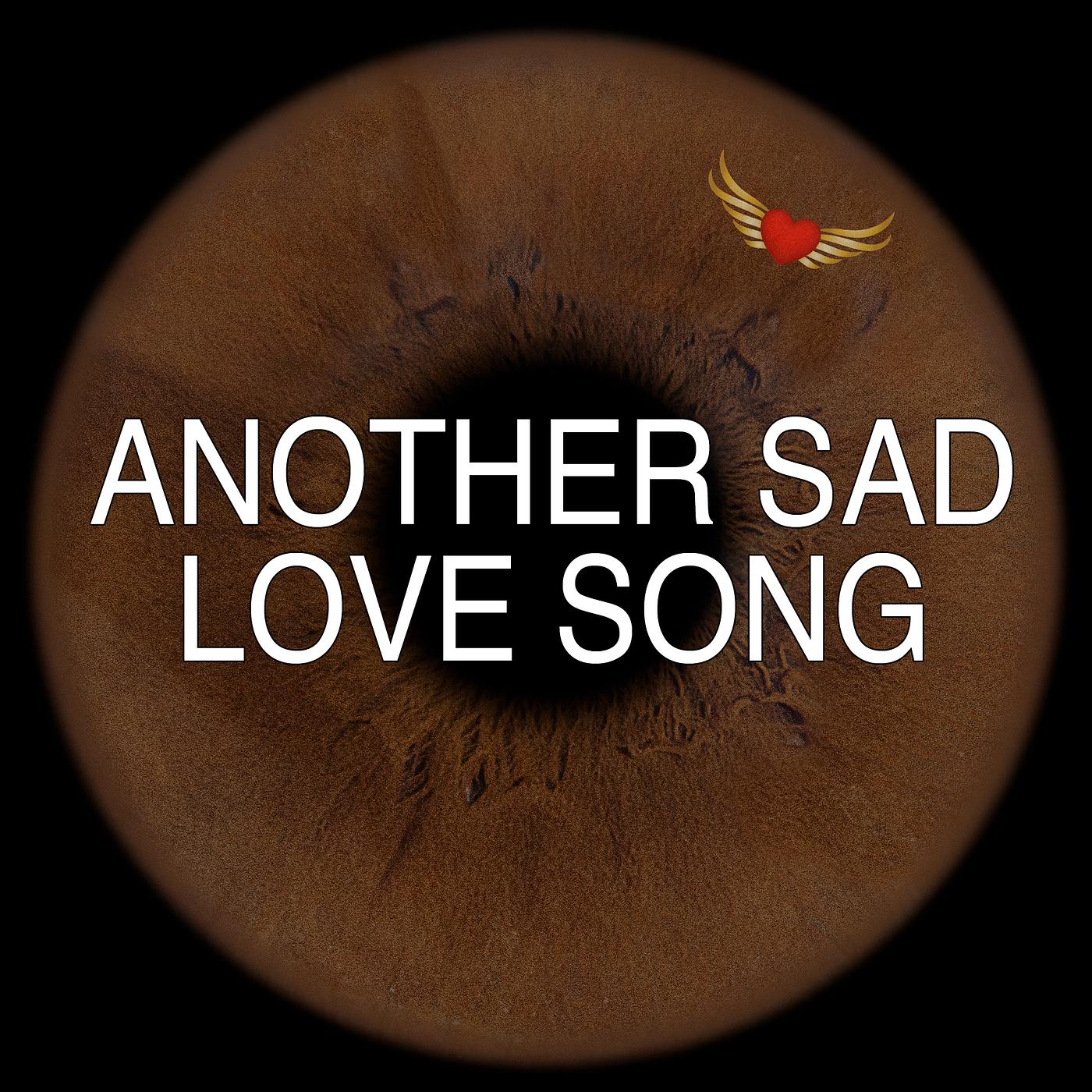 Постер альбома Another Sad Love Song