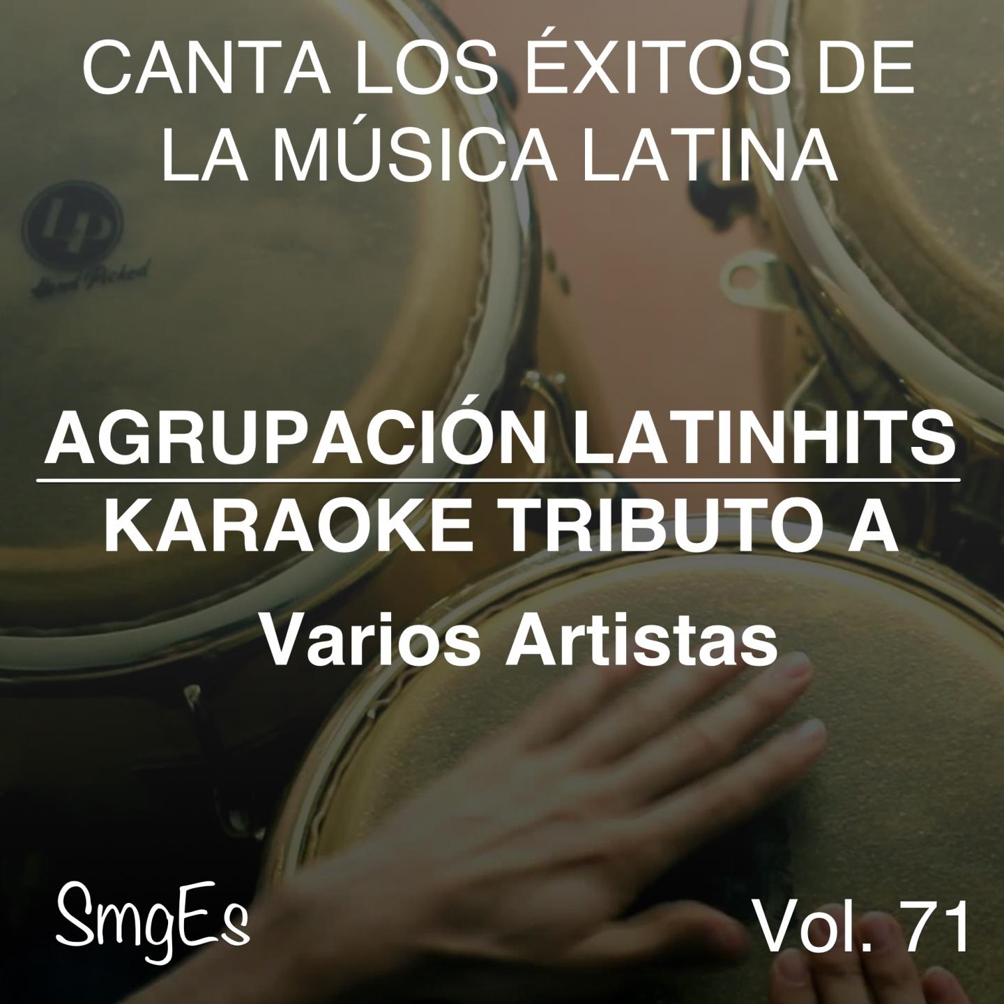 Постер альбома Instrumental Karaoke Series: Varios Artistas, Vol. 71