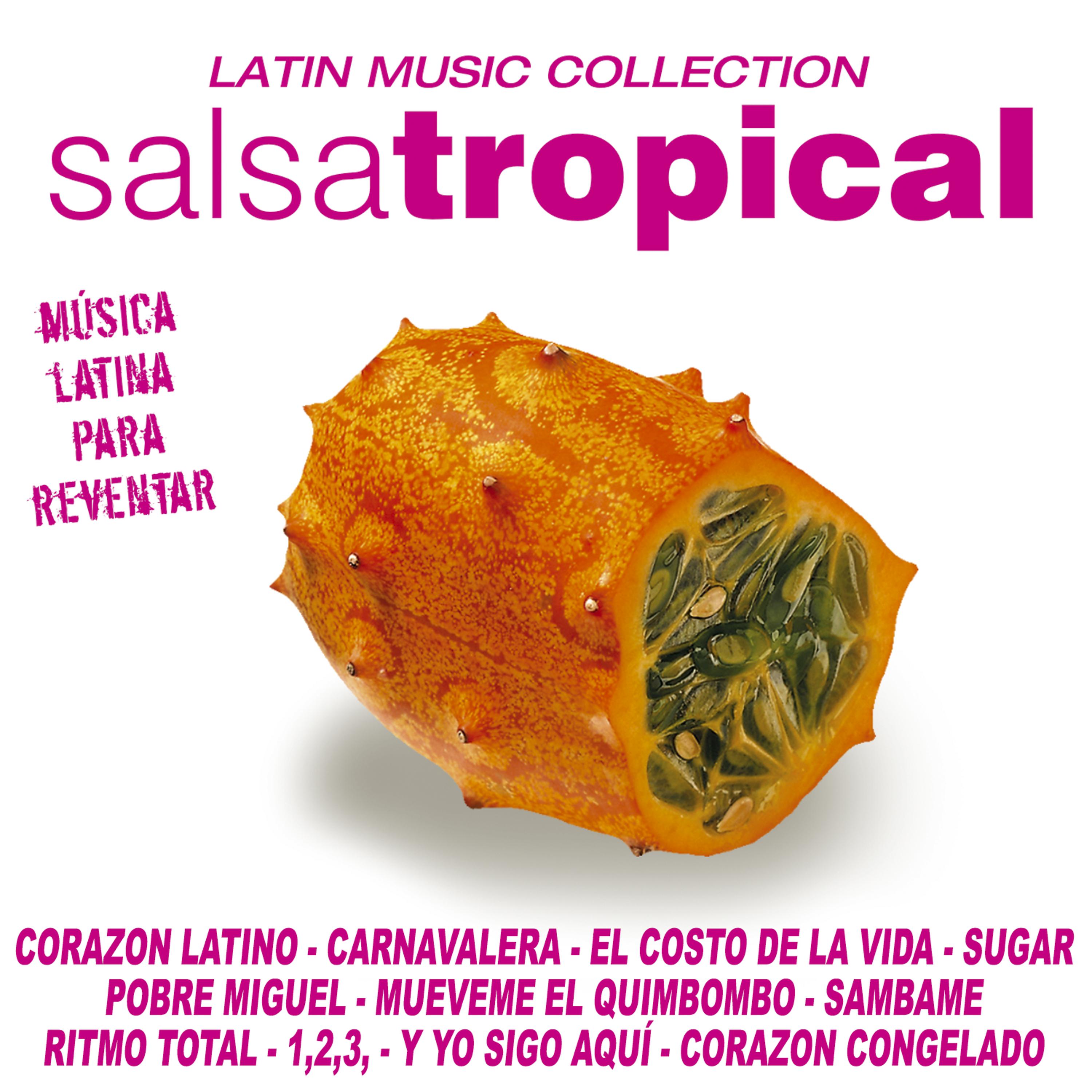 Постер альбома Salsa Tropical