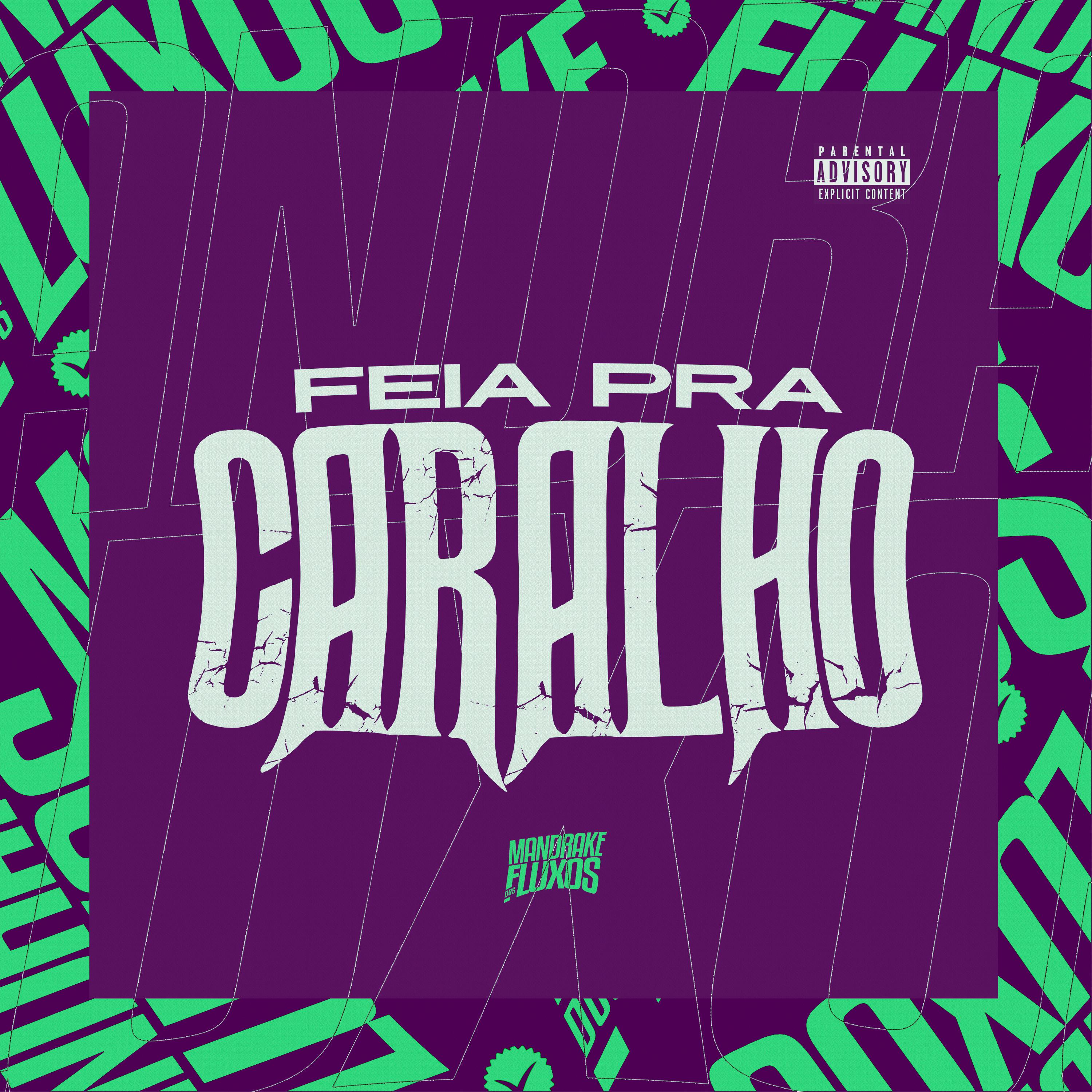 Постер альбома Feia pra Caralho