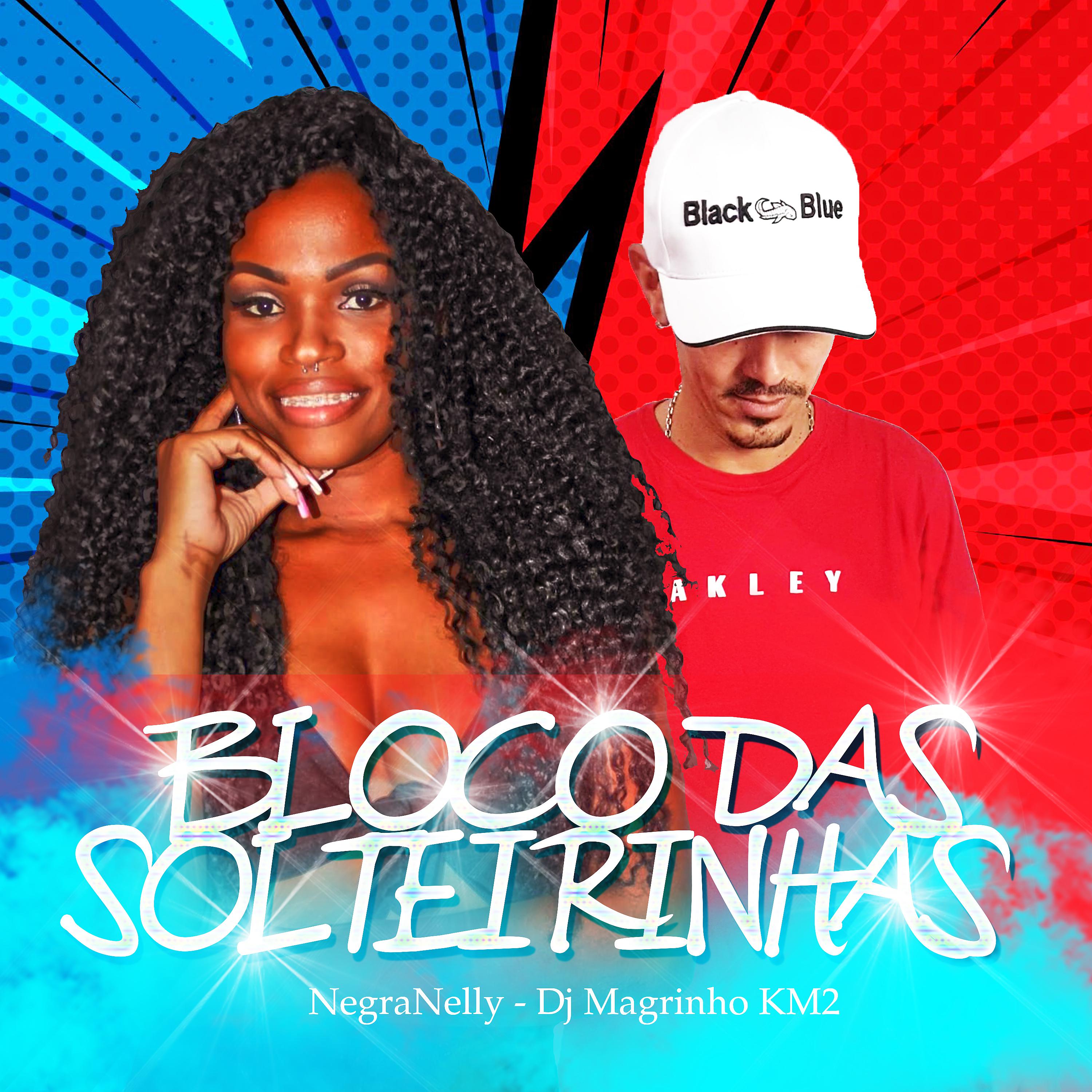 Постер альбома Bloco das Solteirinhas
