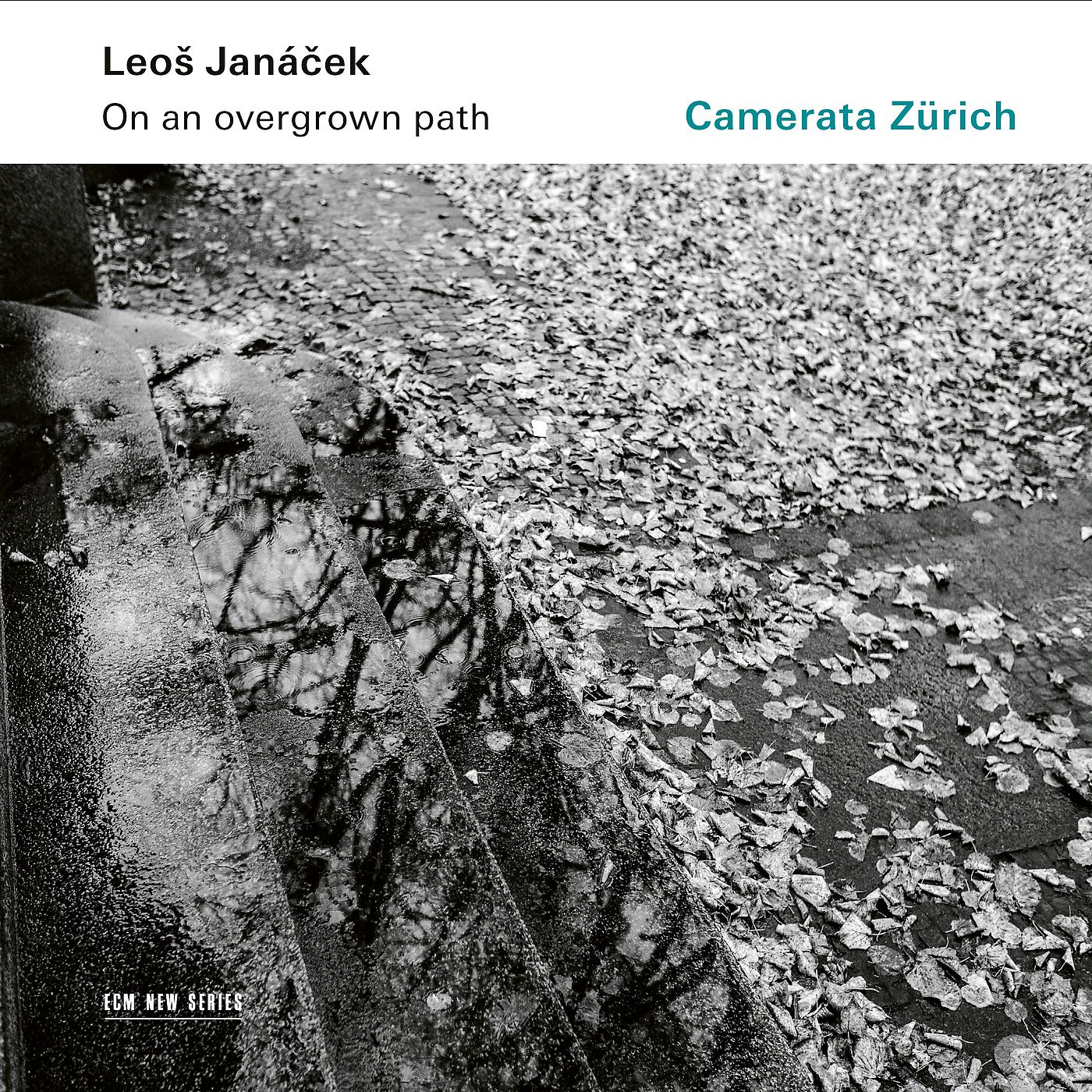 Постер альбома Leoš Janáček: On An Overgrown Path