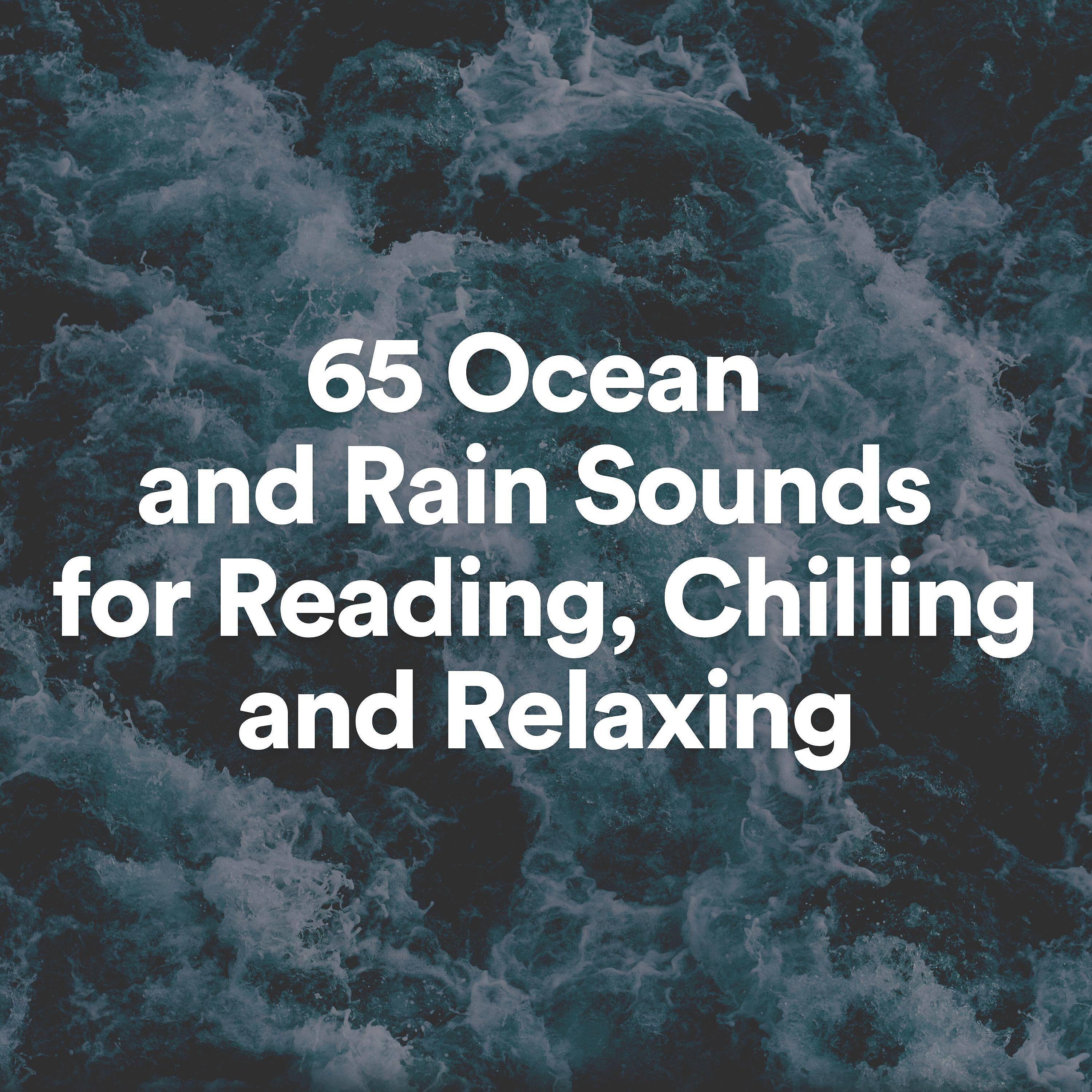 Постер альбома 65 Ocean and Rain Sounds for Reading, Chilling and Relaxing