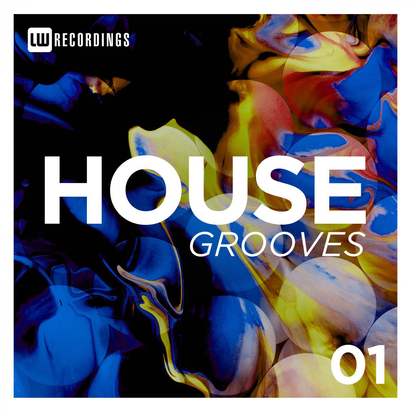 Постер альбома House Grooves, Vol. 01
