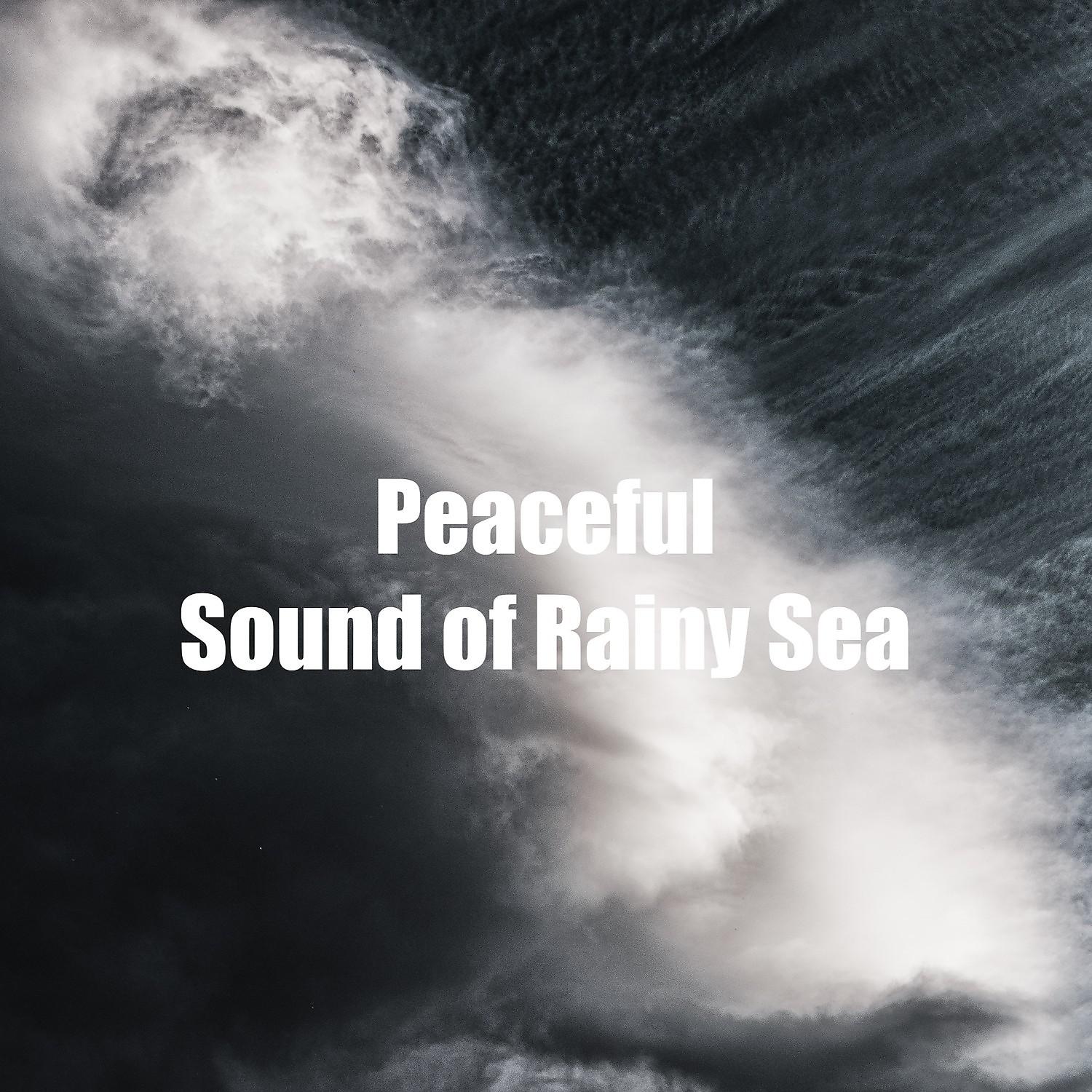 Постер альбома Peaceful Sound of Rainy Sea