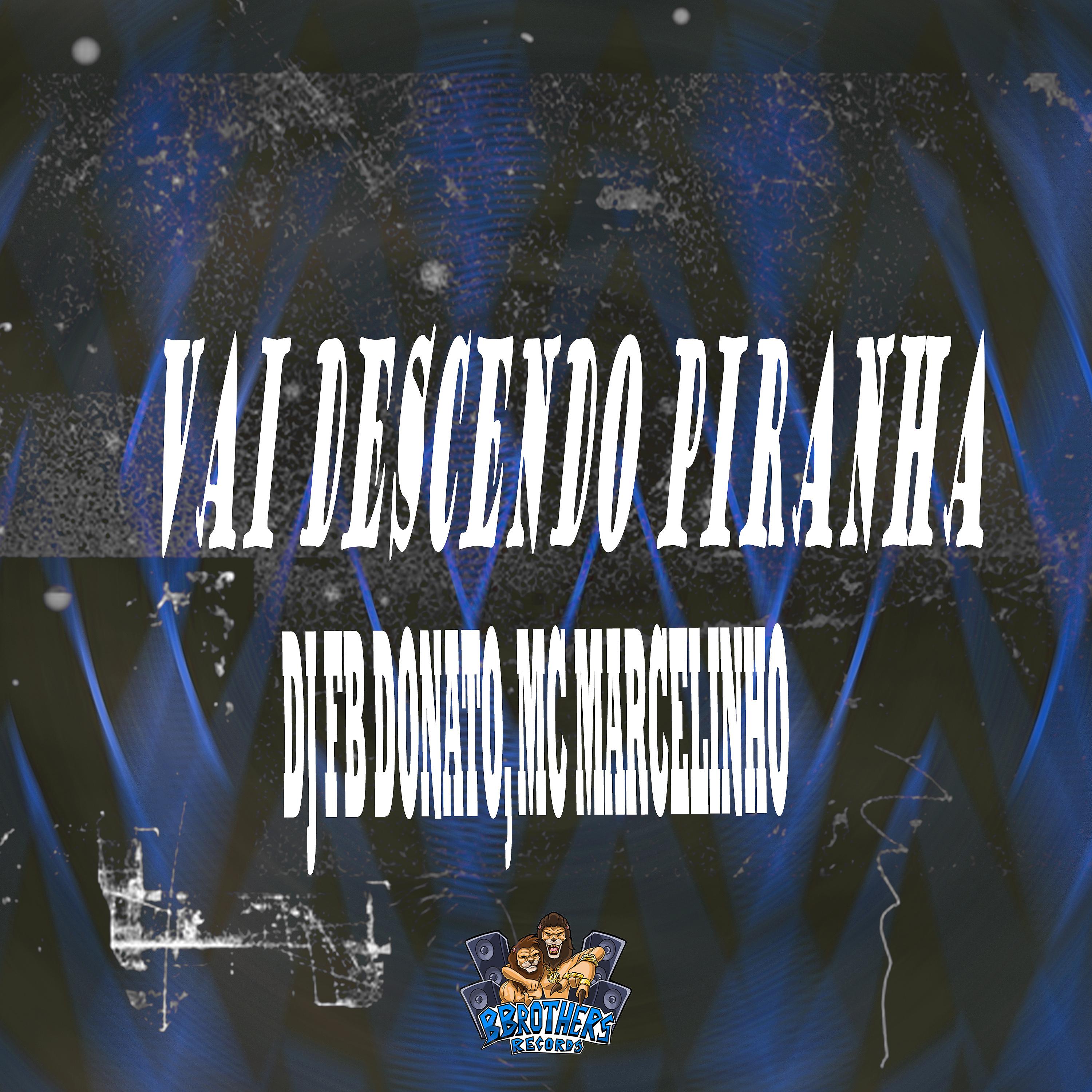 Постер альбома Vai Descendo Piranha