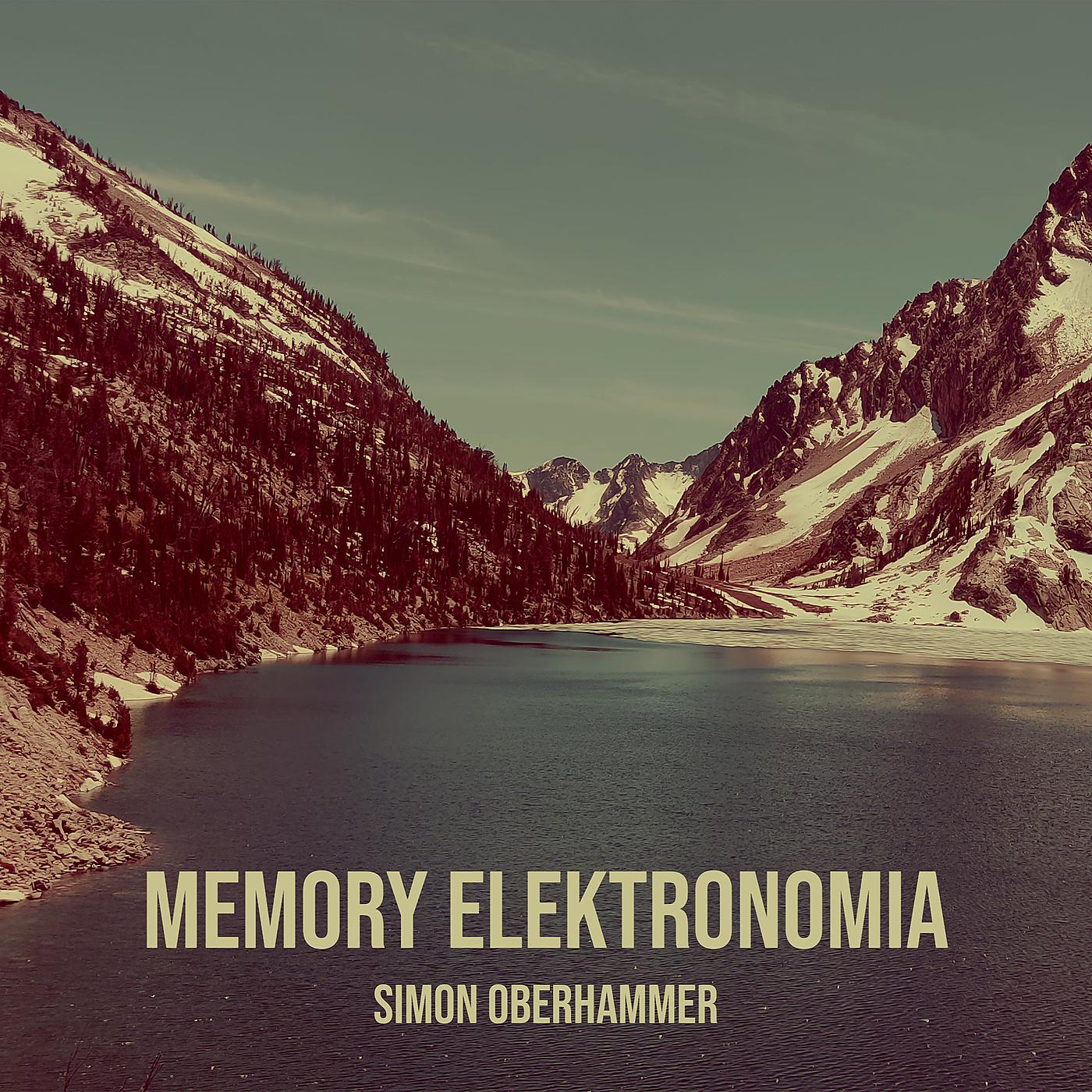 Постер альбома Memory Elektronomia