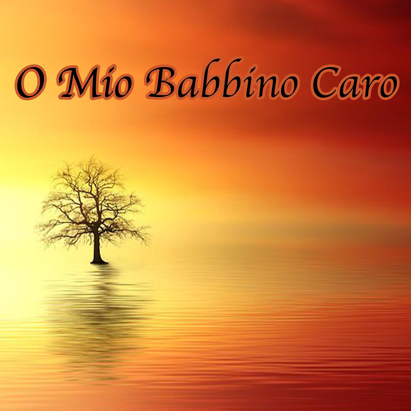 Постер альбома O mio babbino caro