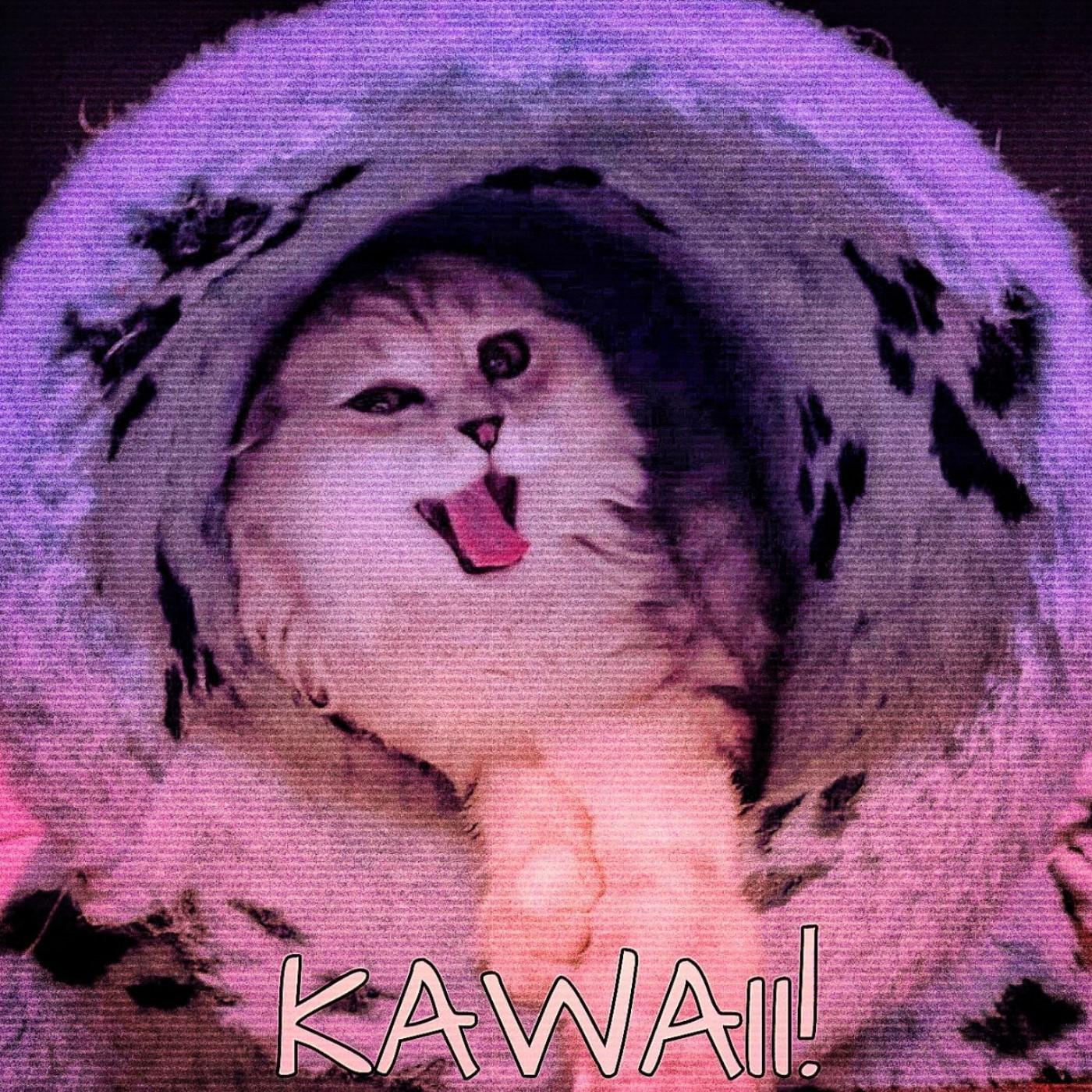 Постер альбома Kawaii!