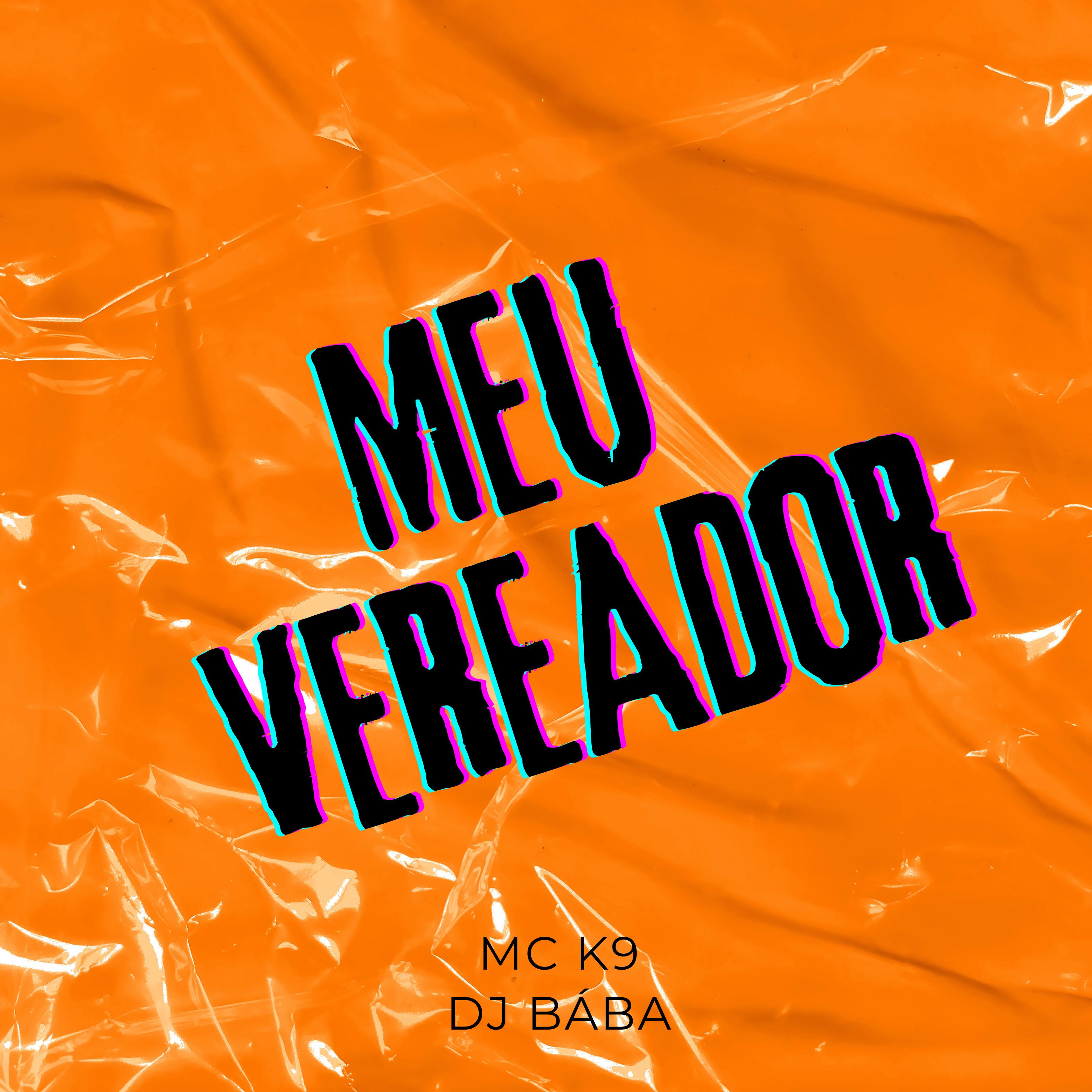 Постер альбома Meu Vereador