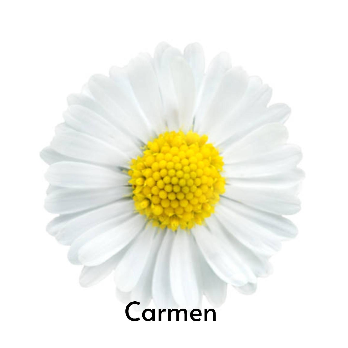 Постер альбома Carmen