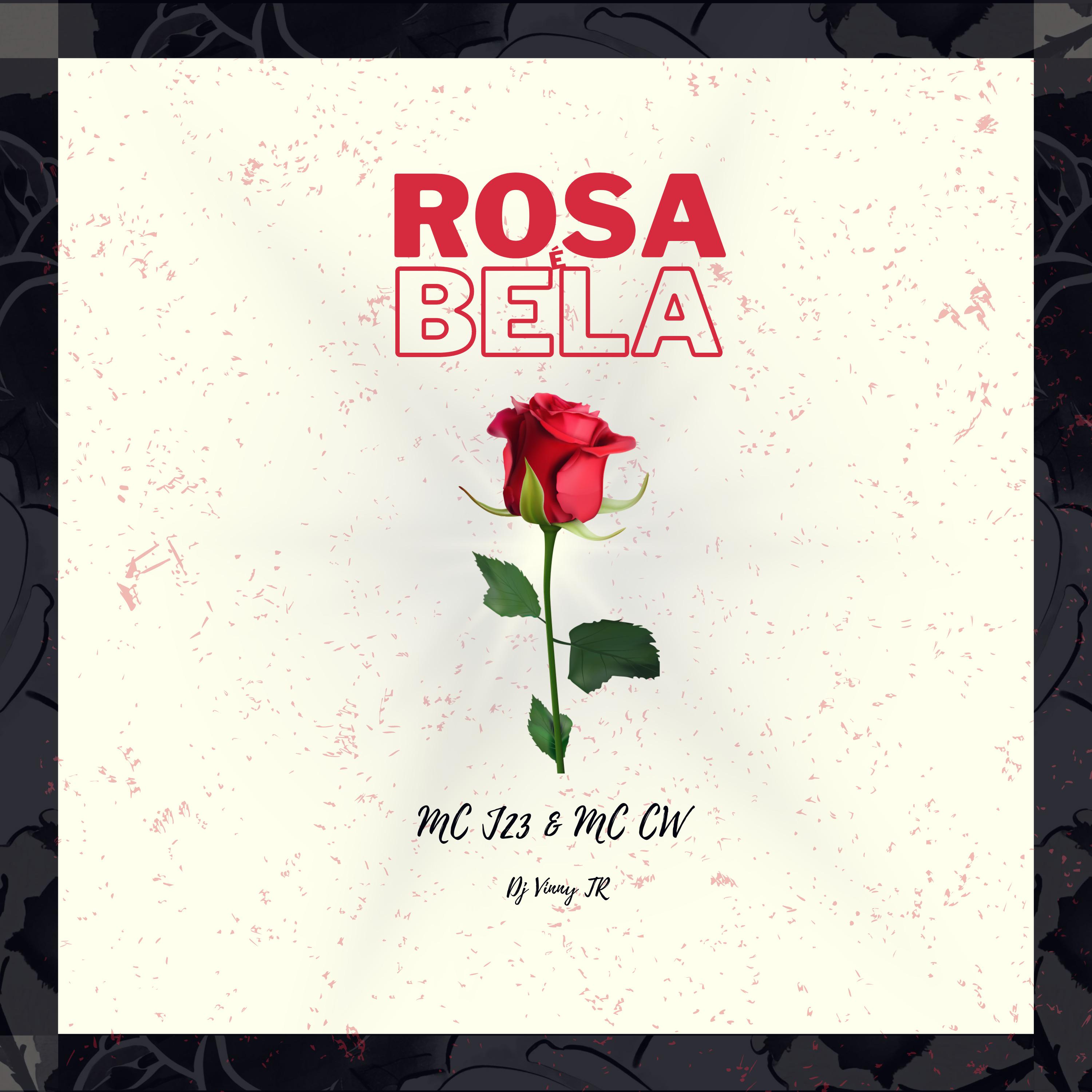 Постер альбома Rosa É Bela