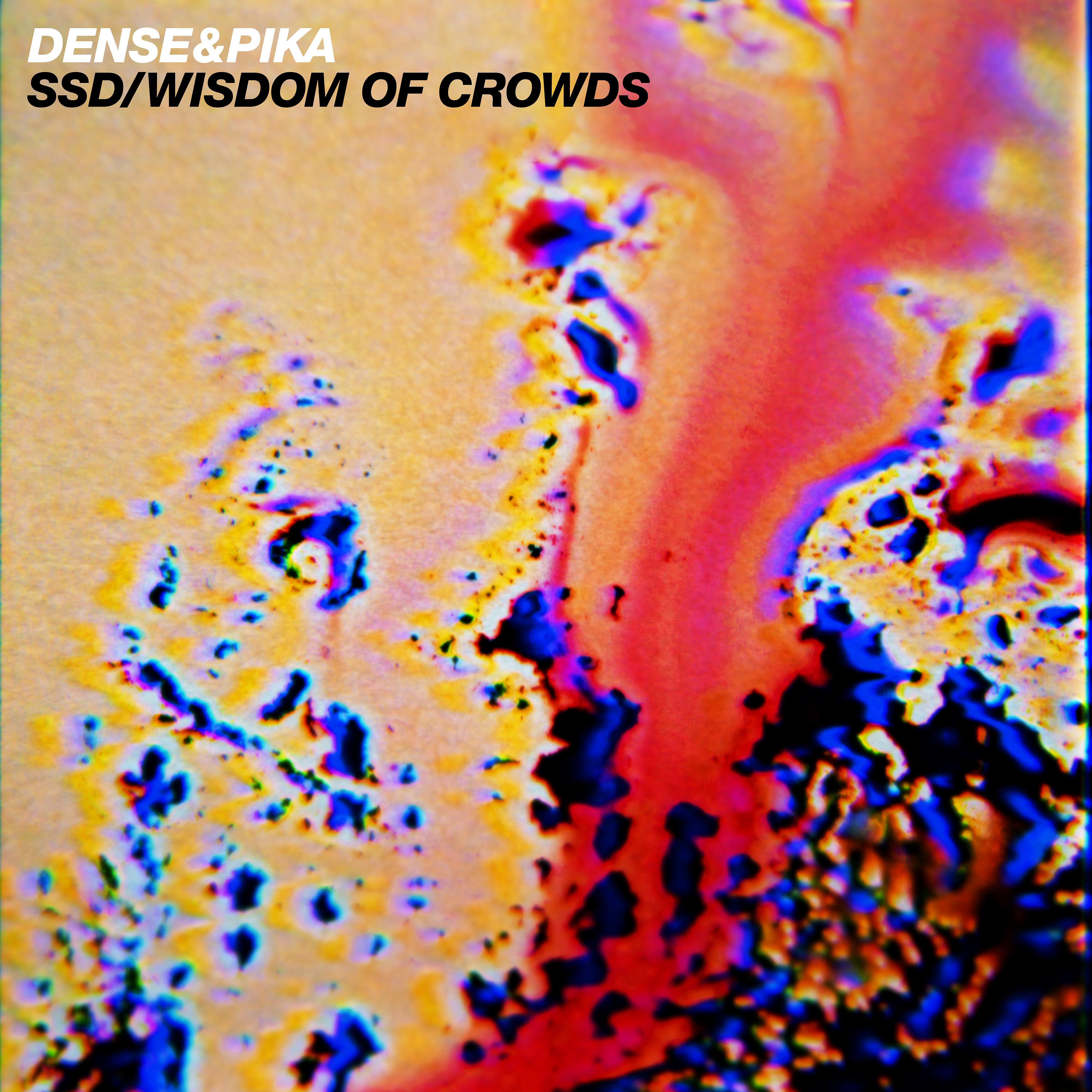 Постер альбома SSD / Wisdom of Crowds